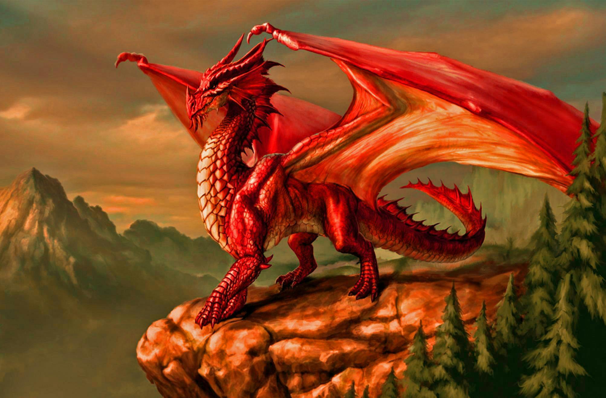 user avatar image for James MacLennan