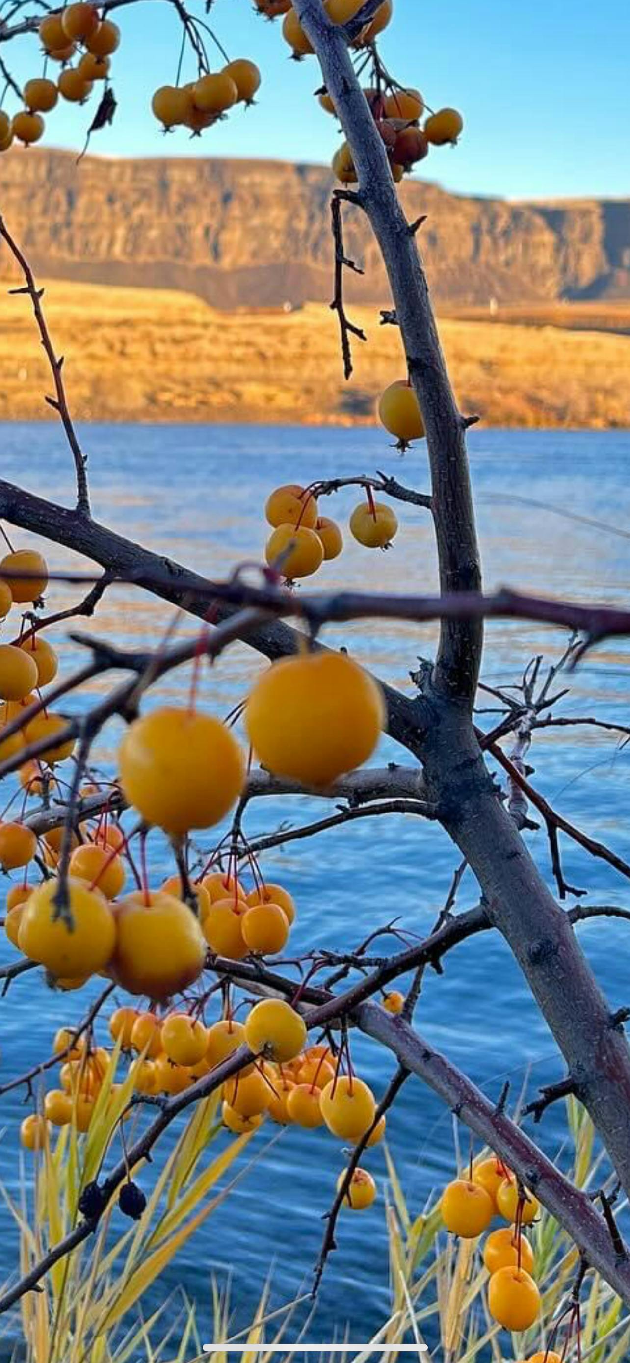 user avatar image for Aaron skelton 