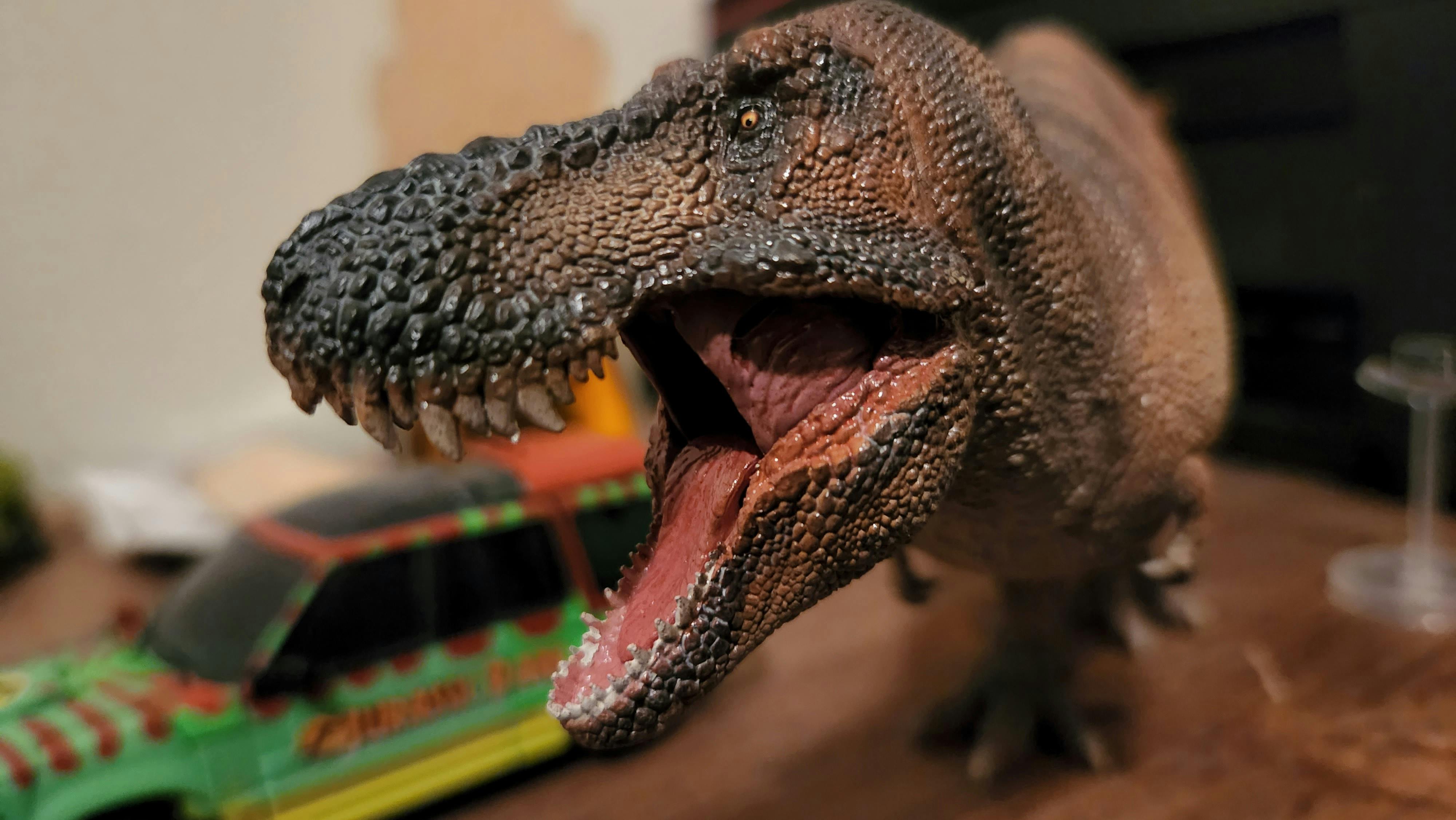 user avatar image for 6 foot turkey