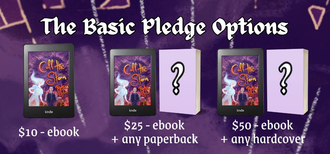 The basic pledge options: $10 ebook, $25 ebook + any paperback, $50 ebook + any hardcover