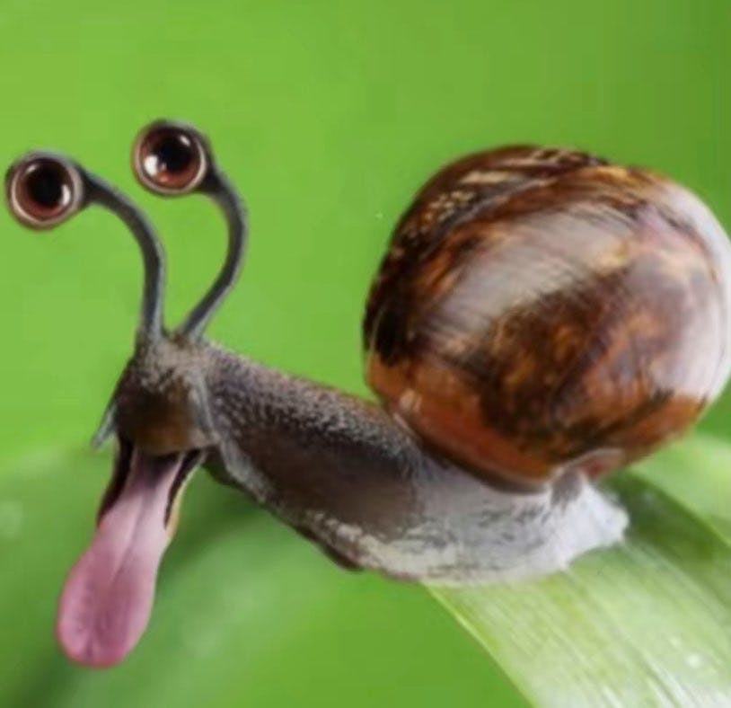 user avatar image for Kola