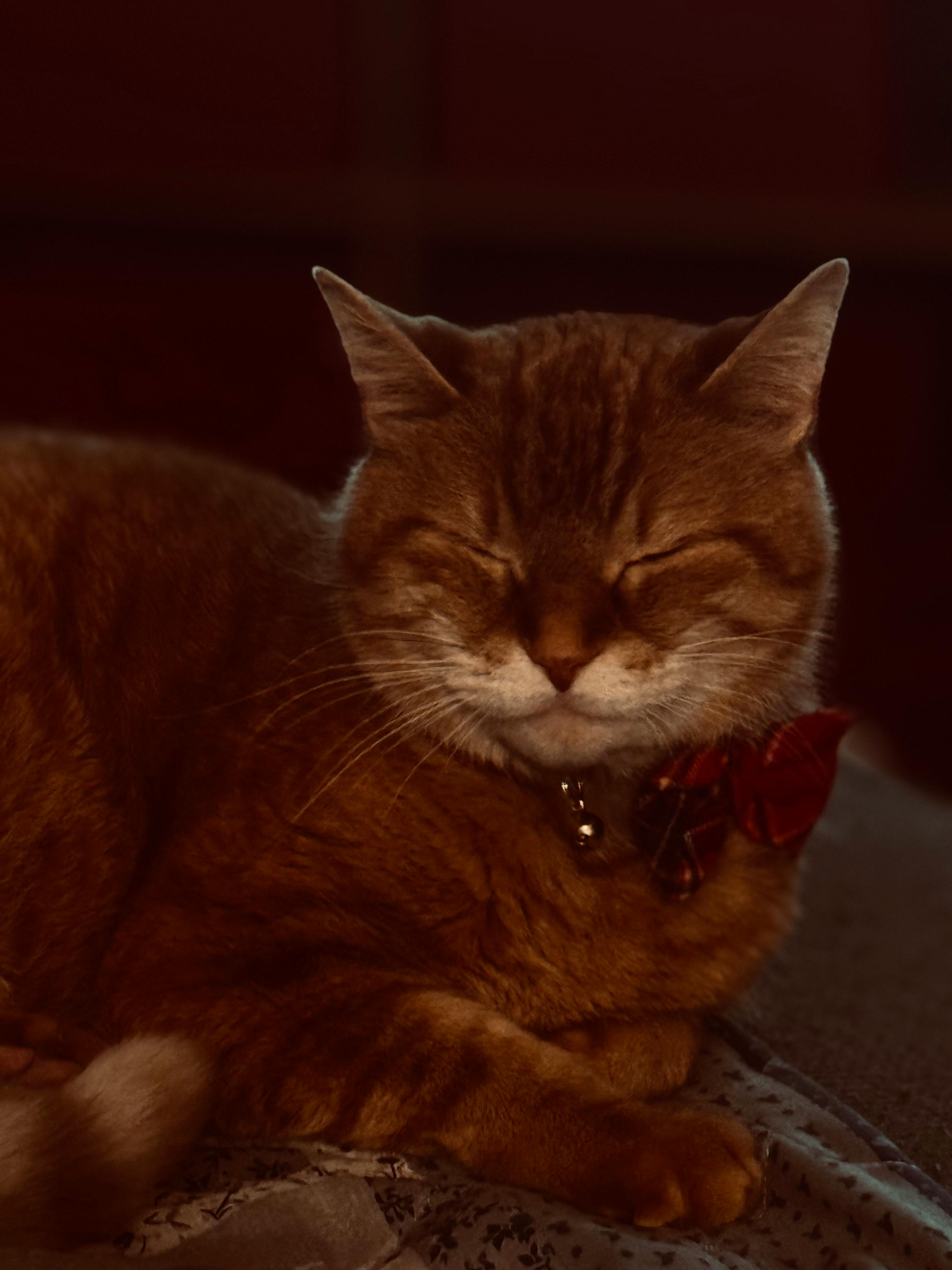 user avatar image for _nihilus