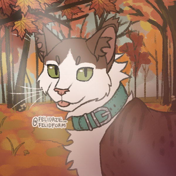 user avatar image for Kirs