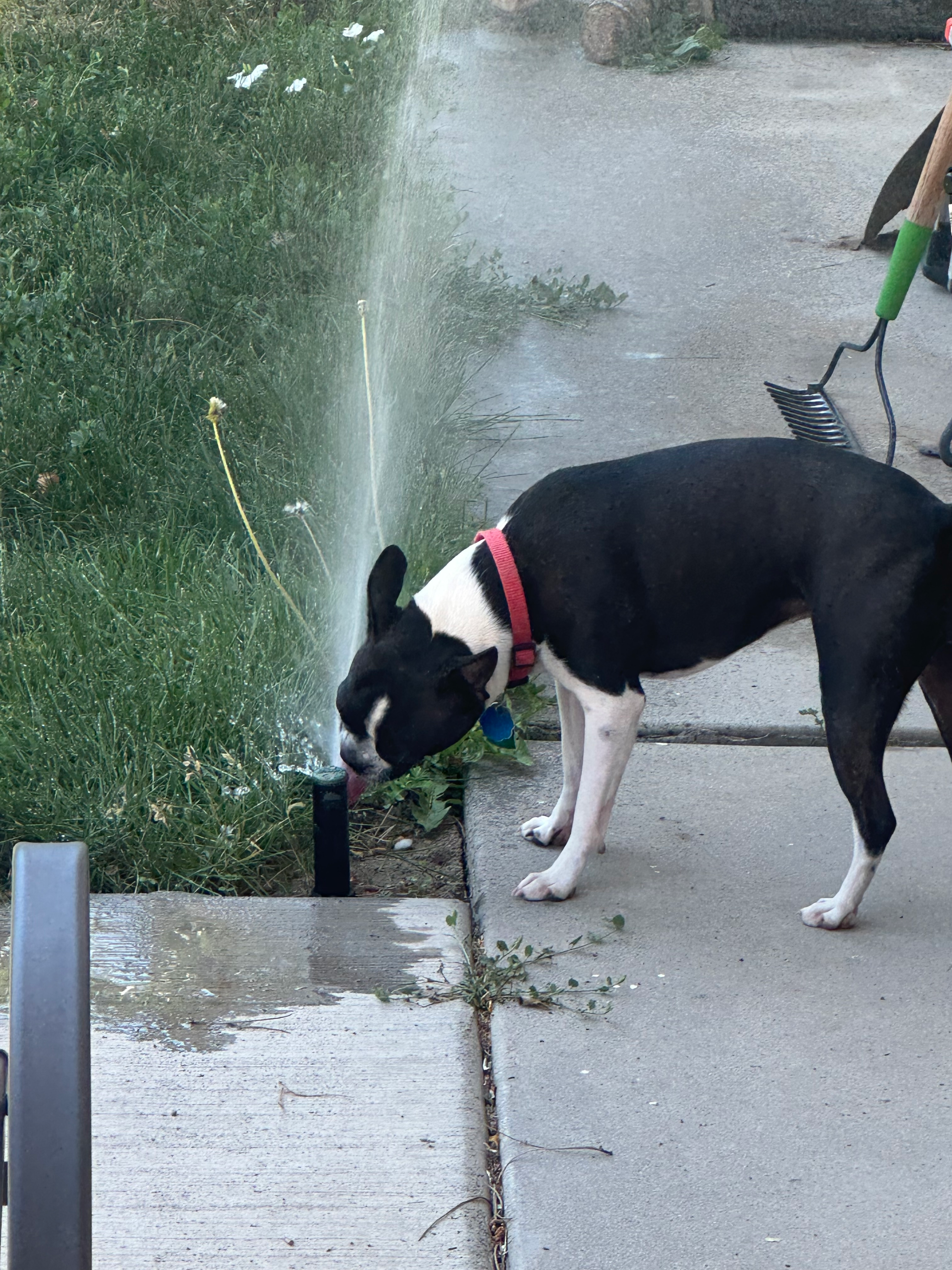 user avatar image for Sam Long