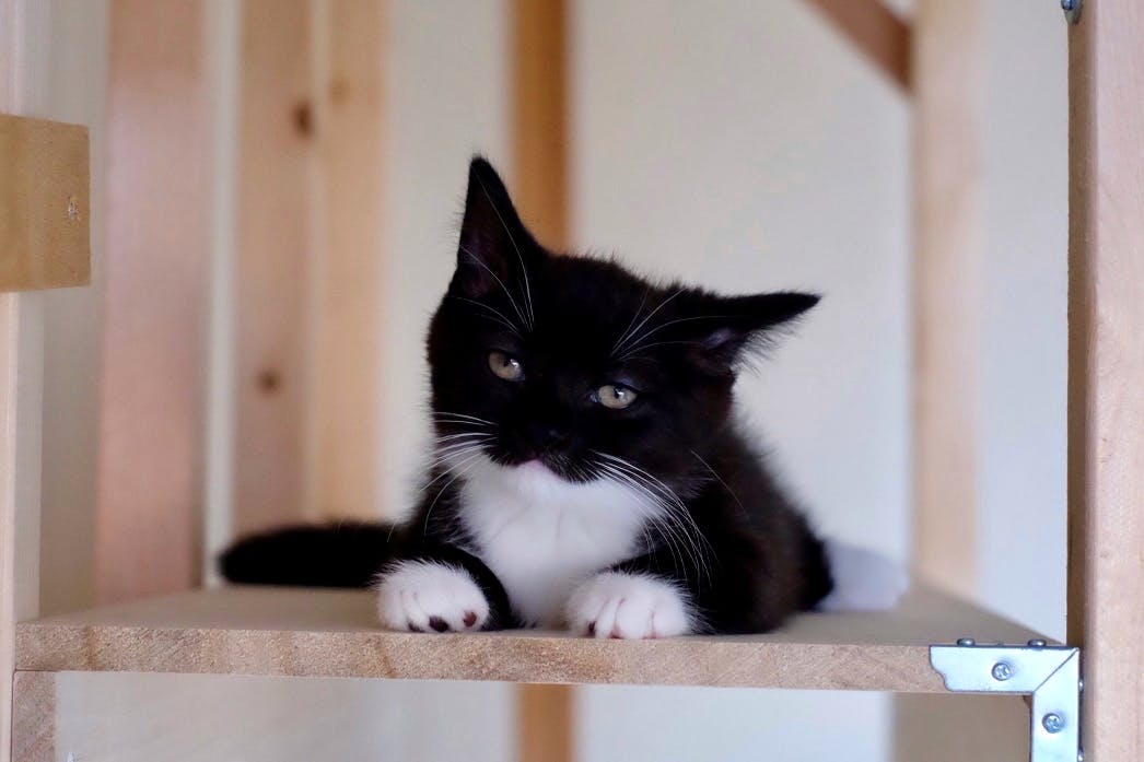 user avatar image for Connie0105