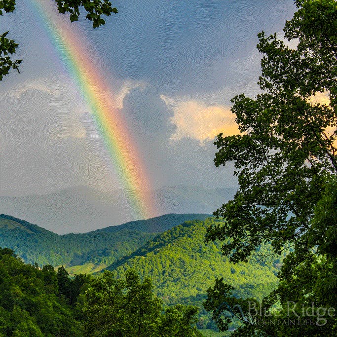 user avatar image for Kai