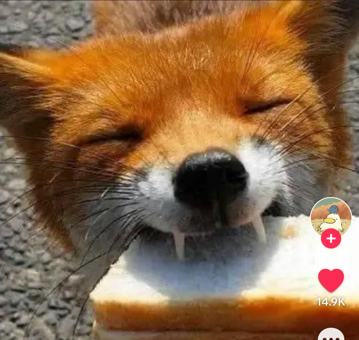 user avatar image for Tsu-Shi