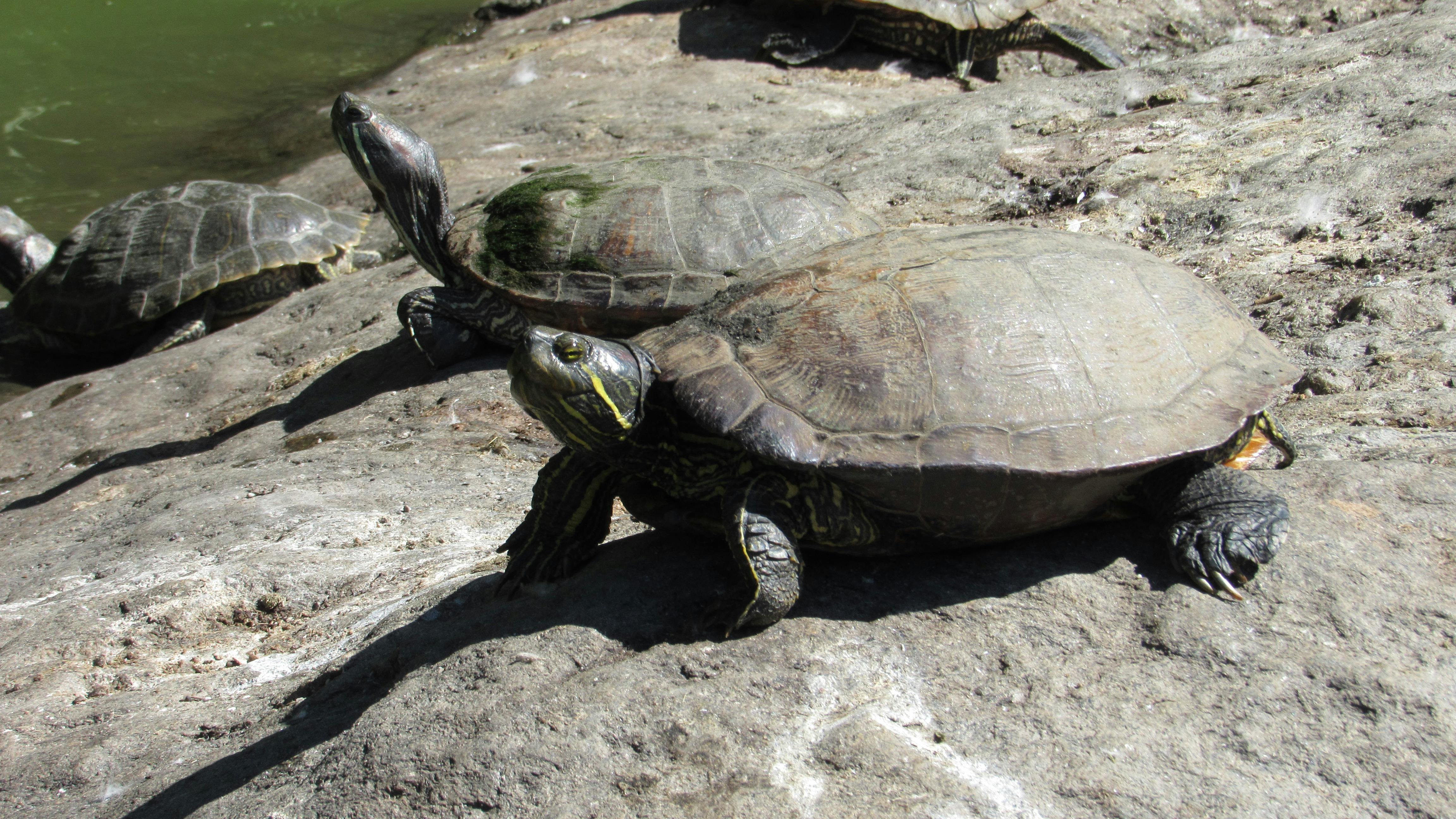 user avatar image for Autumn