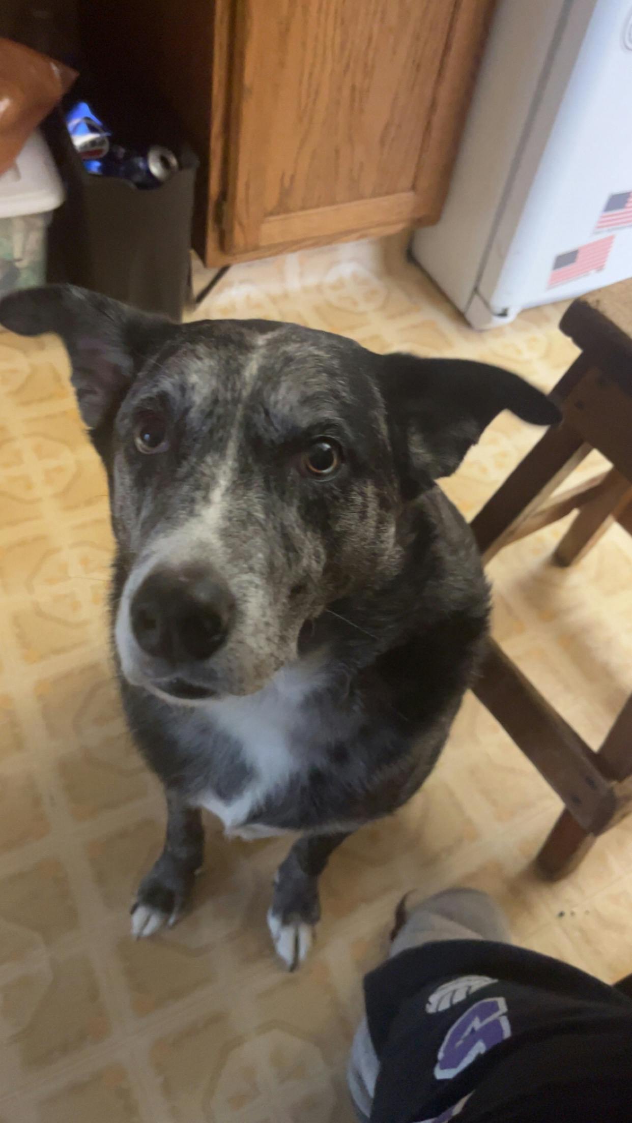 user avatar image for Dallas Stewart