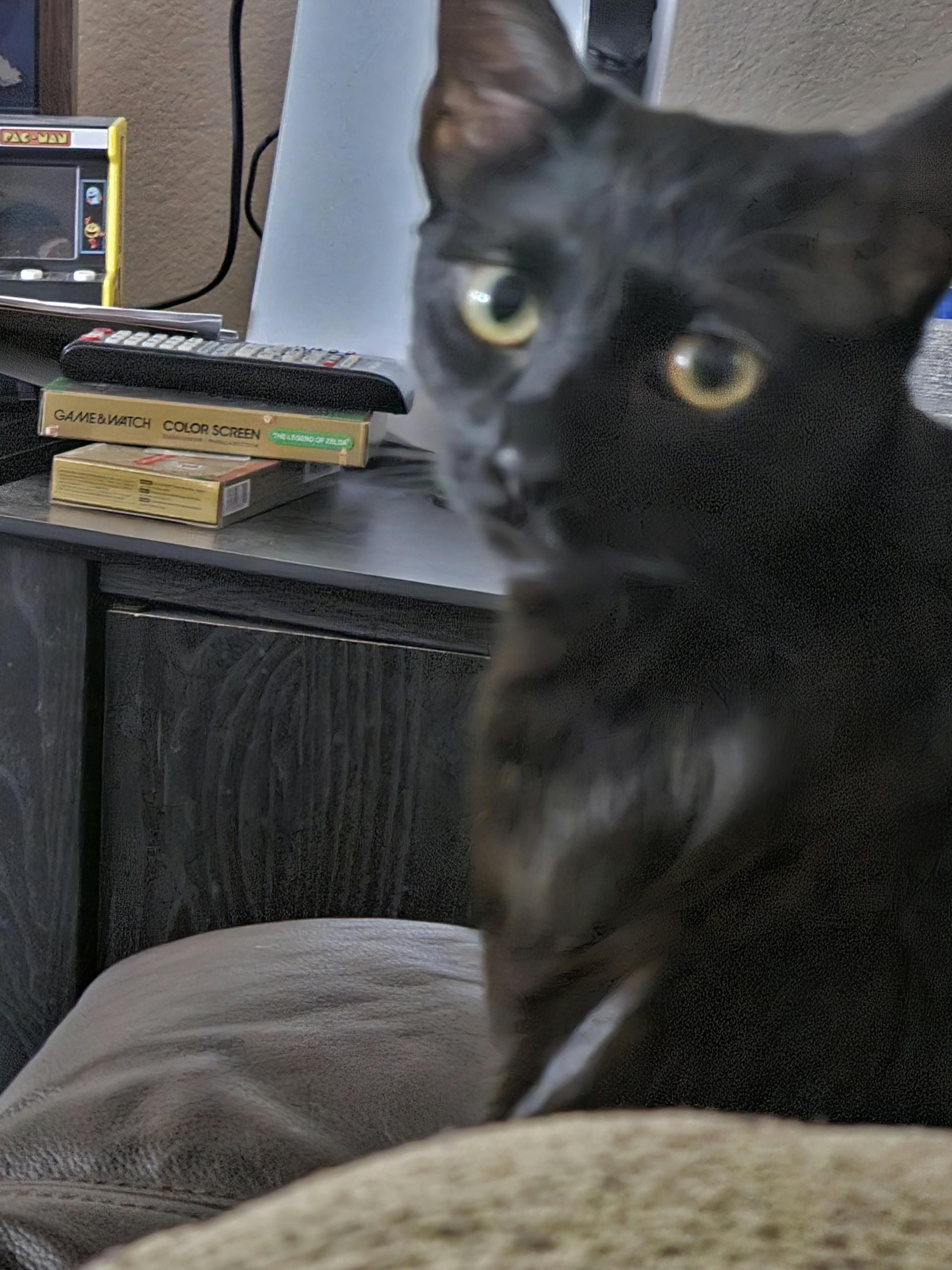 user avatar image for Ruben JR Acevedo