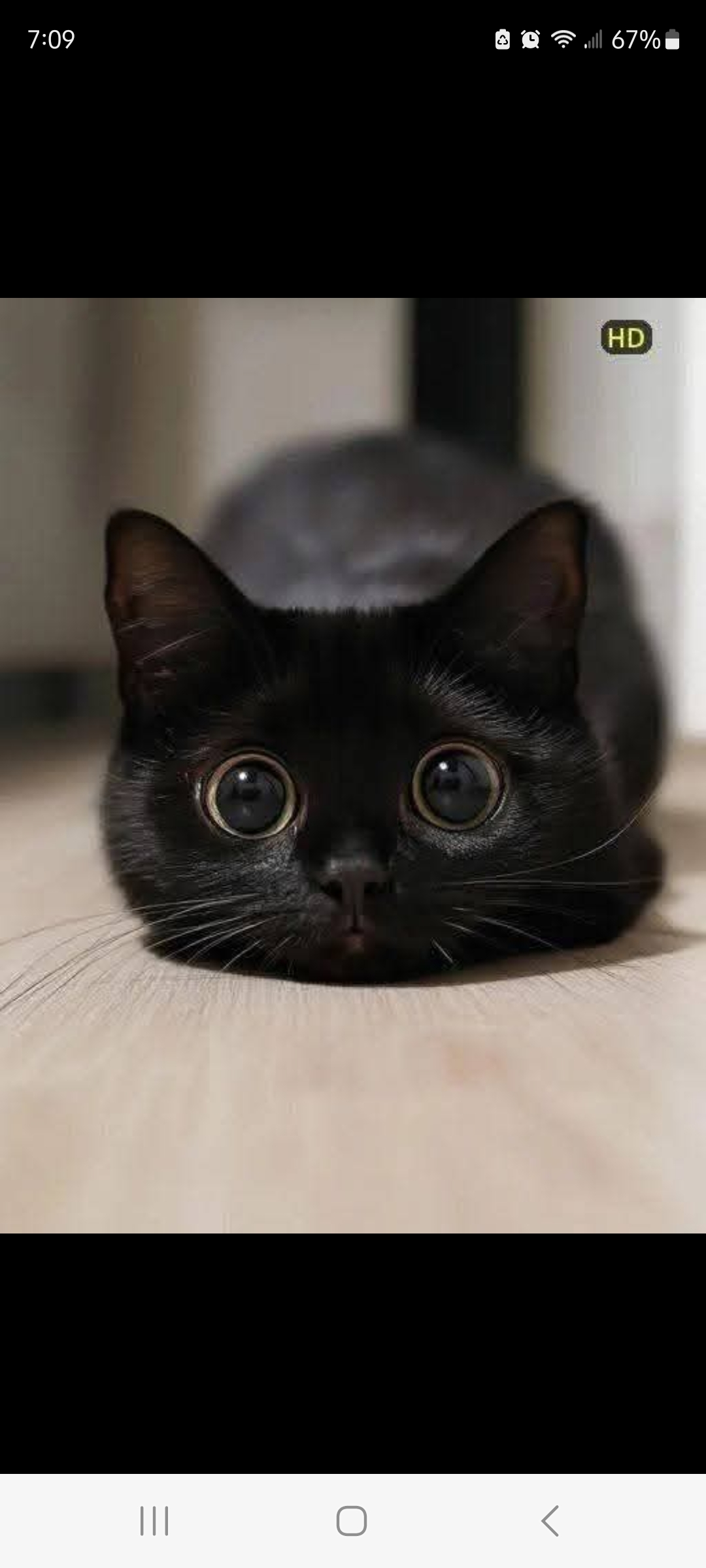 user avatar image for Michele Thacker