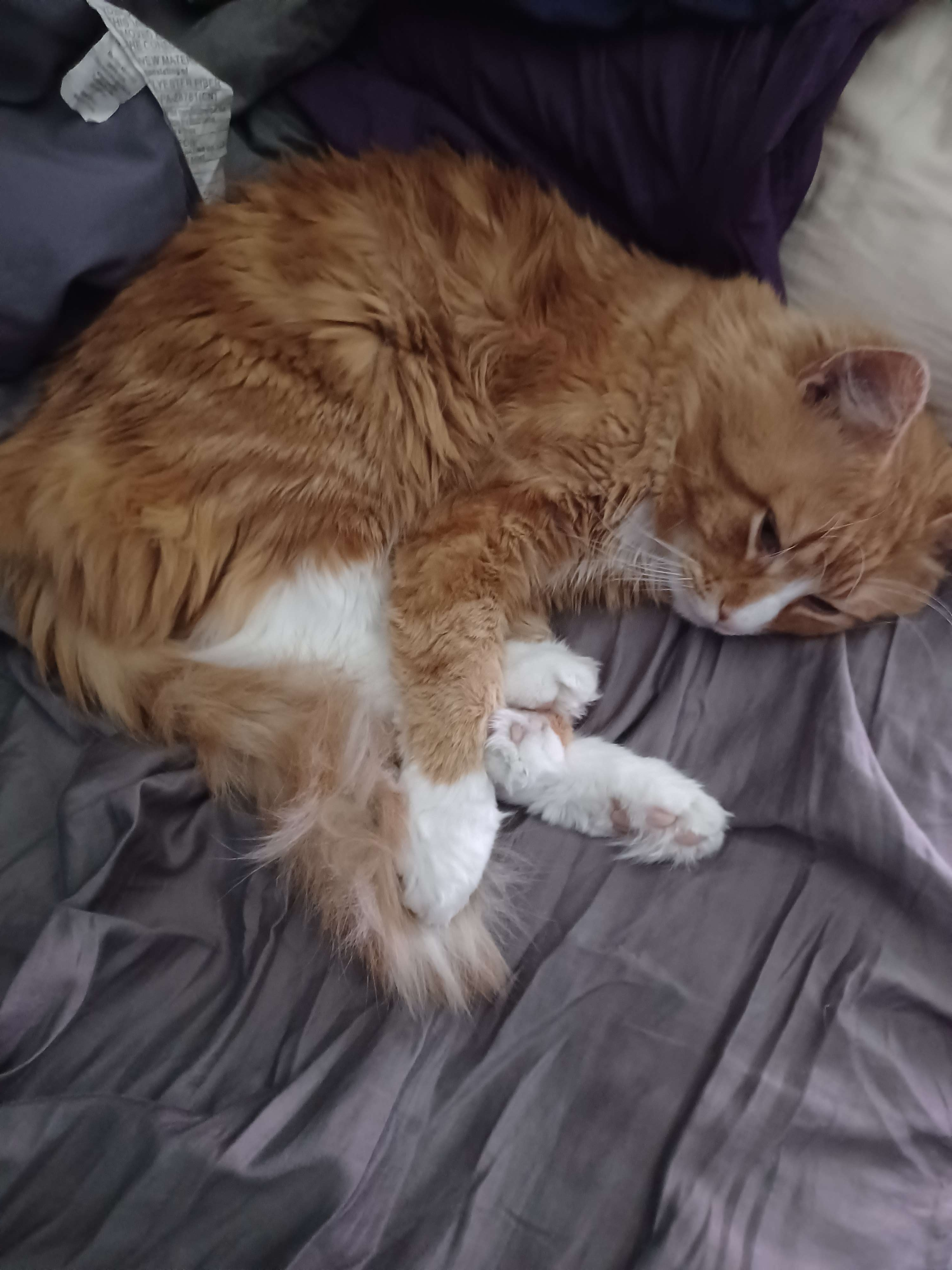 user avatar image for Collin Fisher