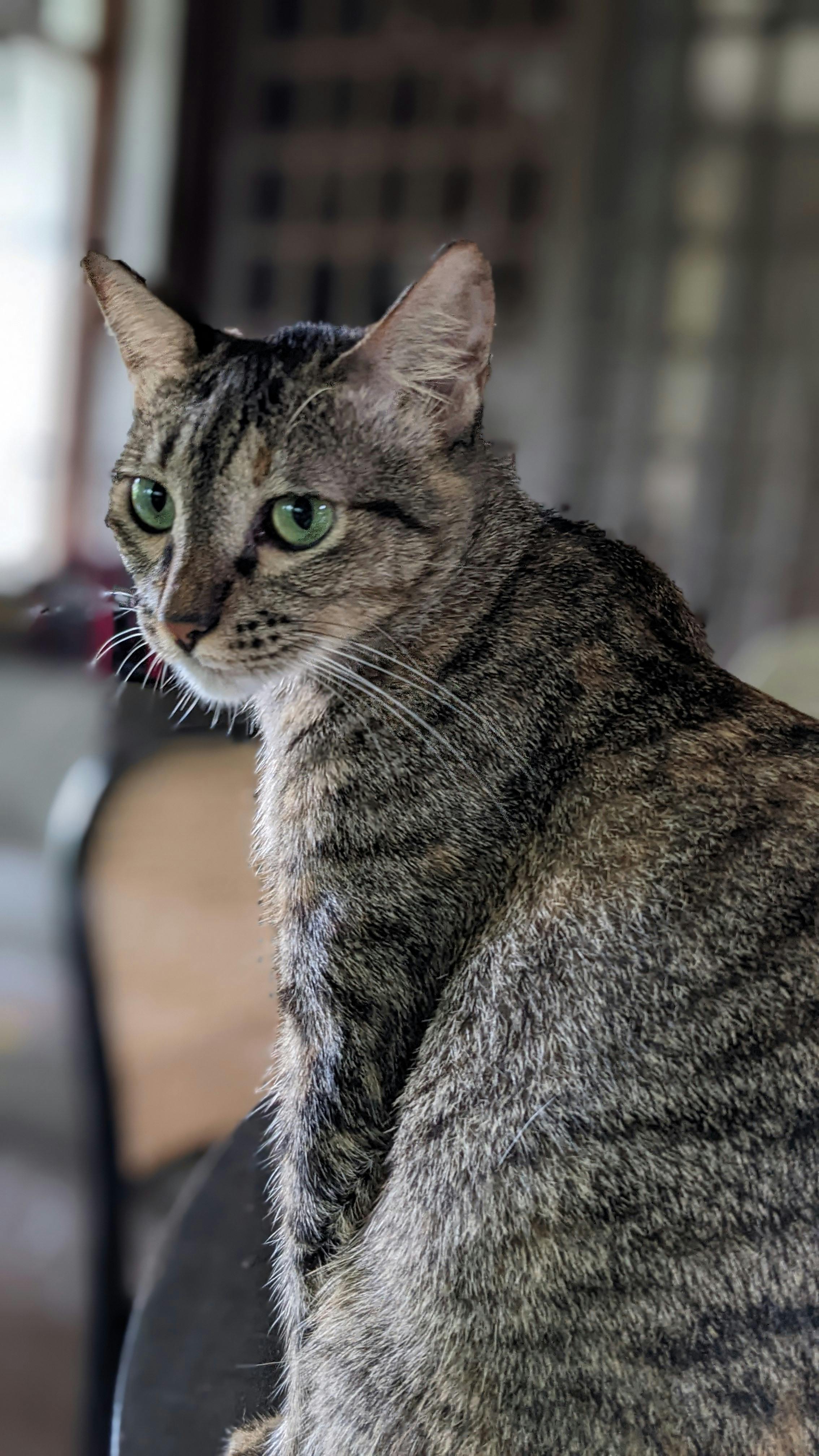 user avatar image for Mary M