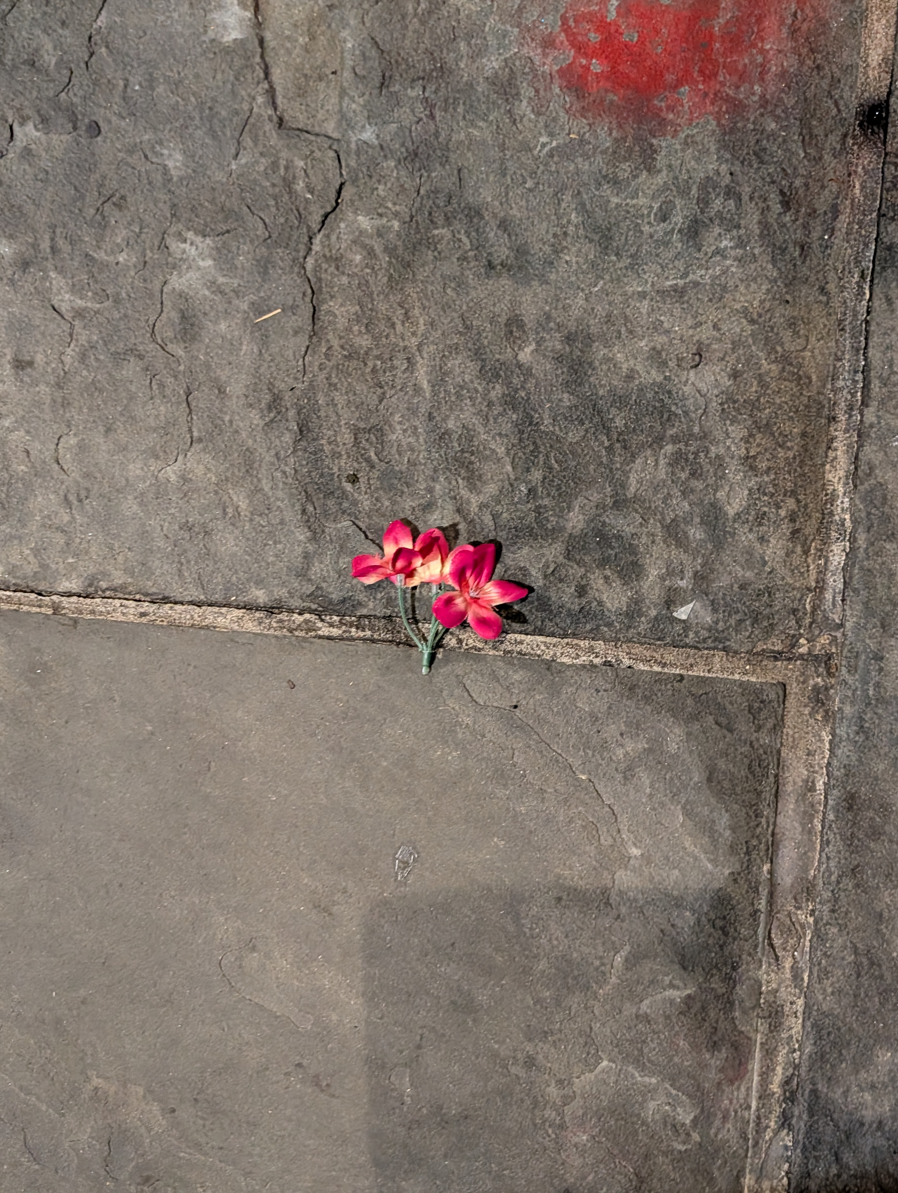 user avatar image for Adrian