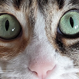 user avatar image for Jonny Edmondson