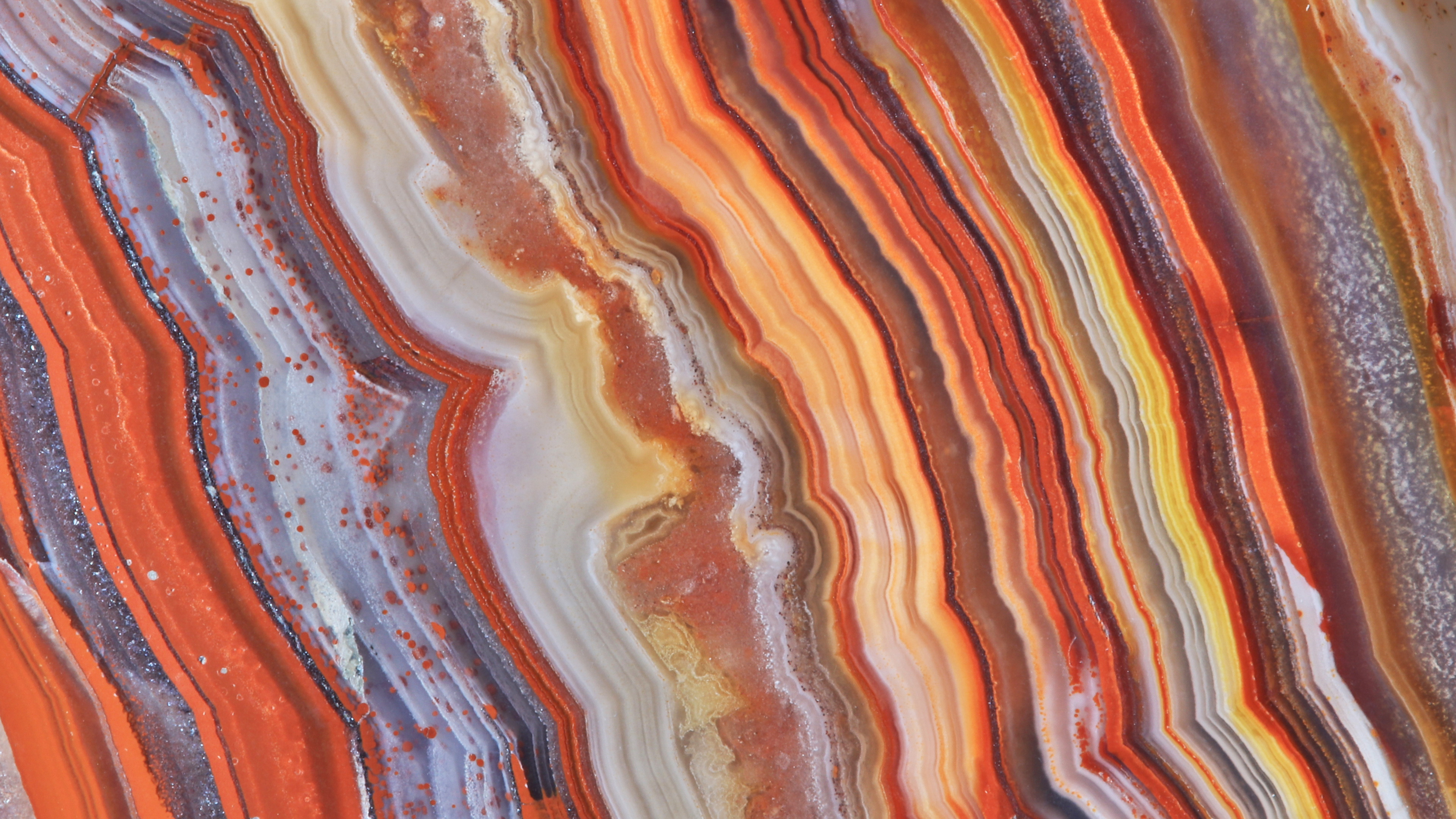 user avatar image for D L