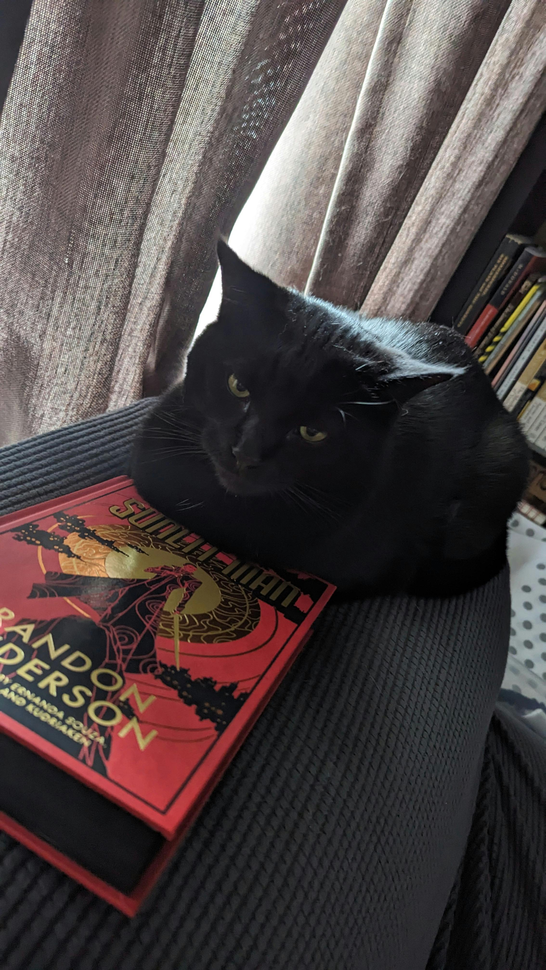 user avatar image for Susan Roterman