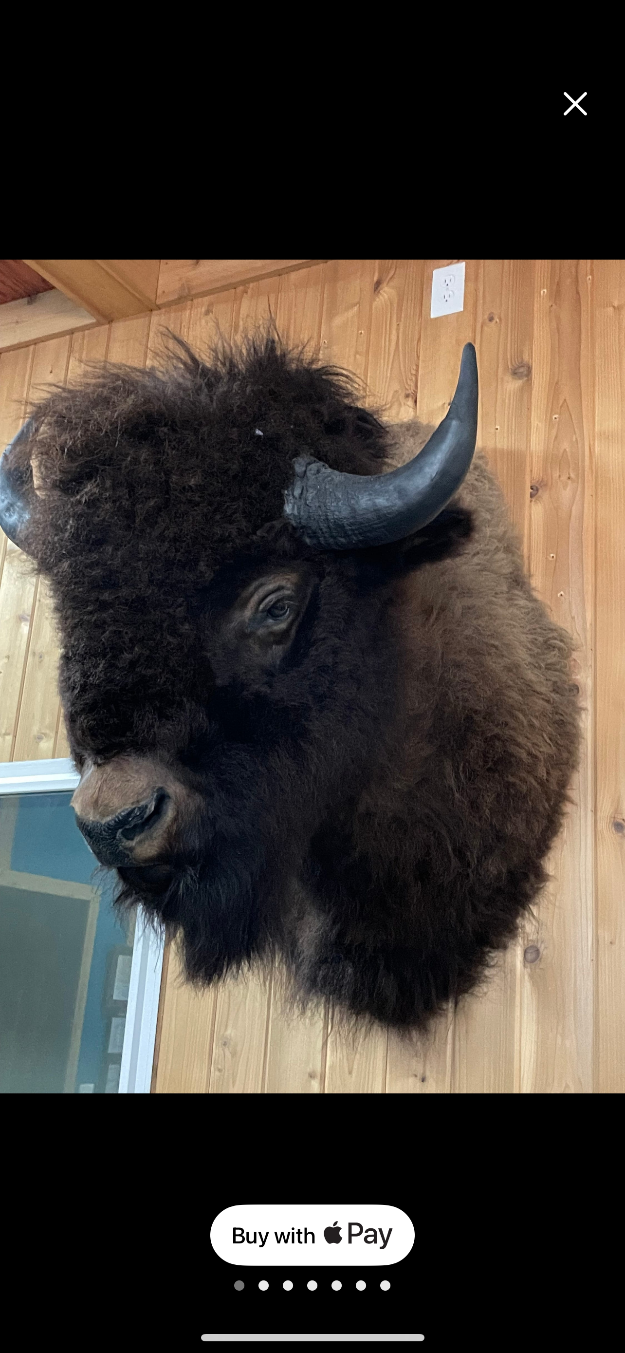 user avatar image for Xand