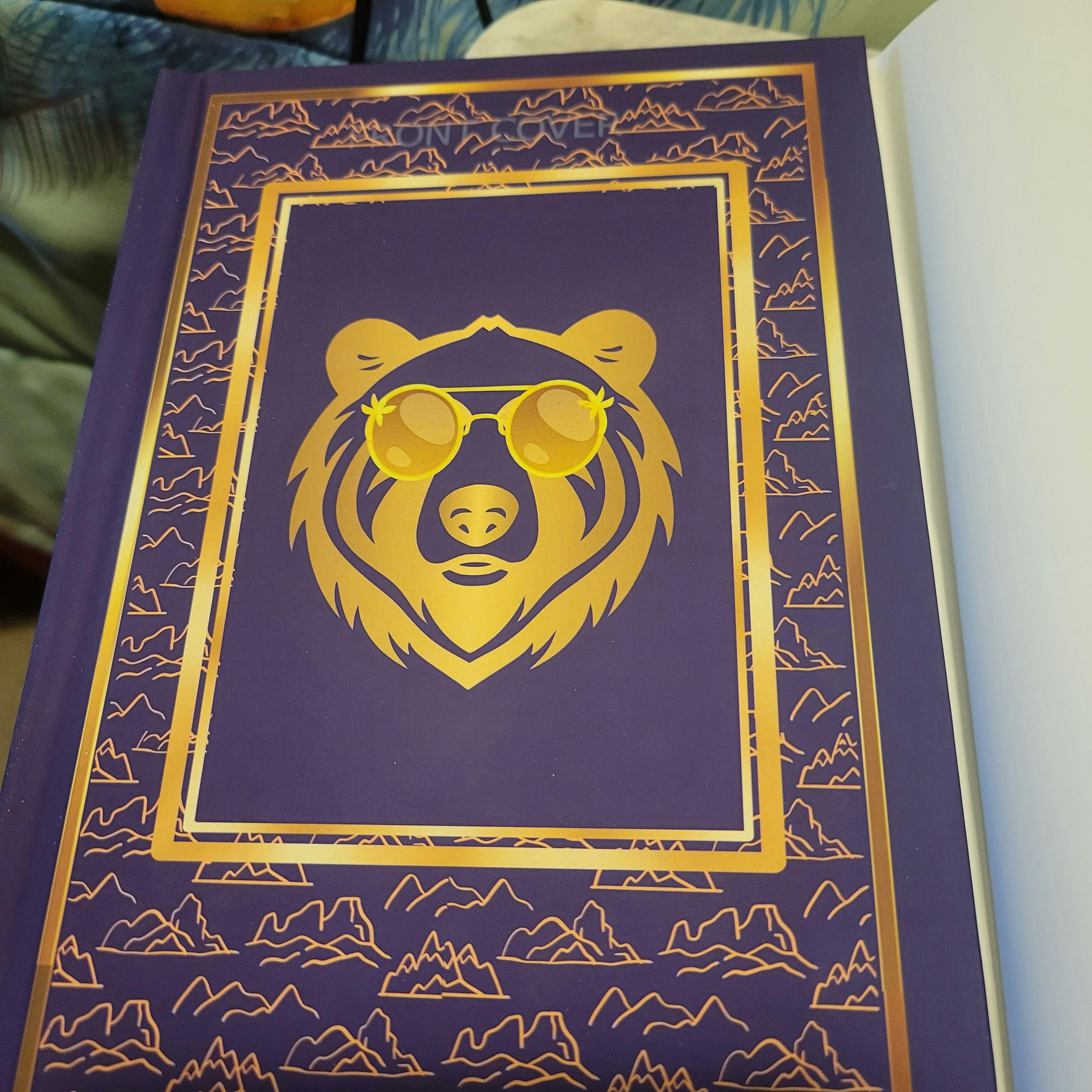 underjacket design, has the template design front cover still printed on it