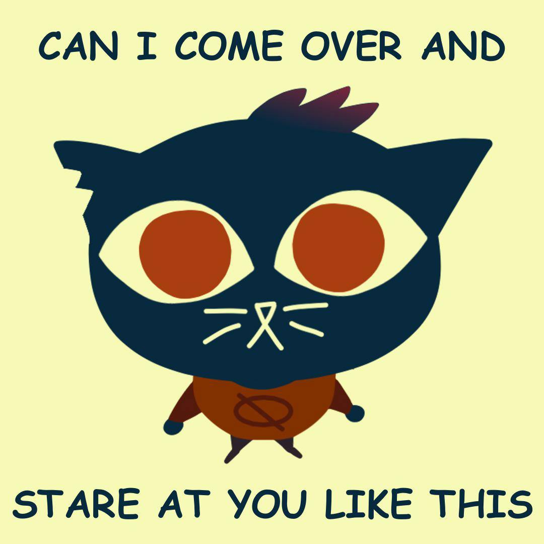 user avatar image for Matix233