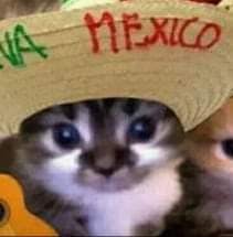 user avatar image for Marco Antonio Garcia