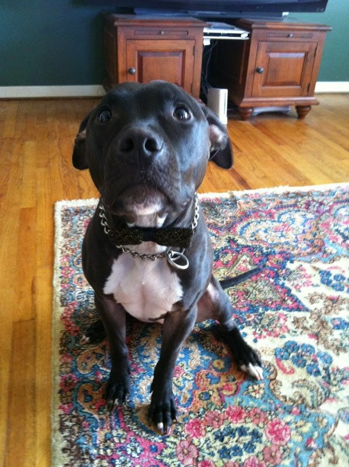 user avatar image for Kaitlin Hilinski