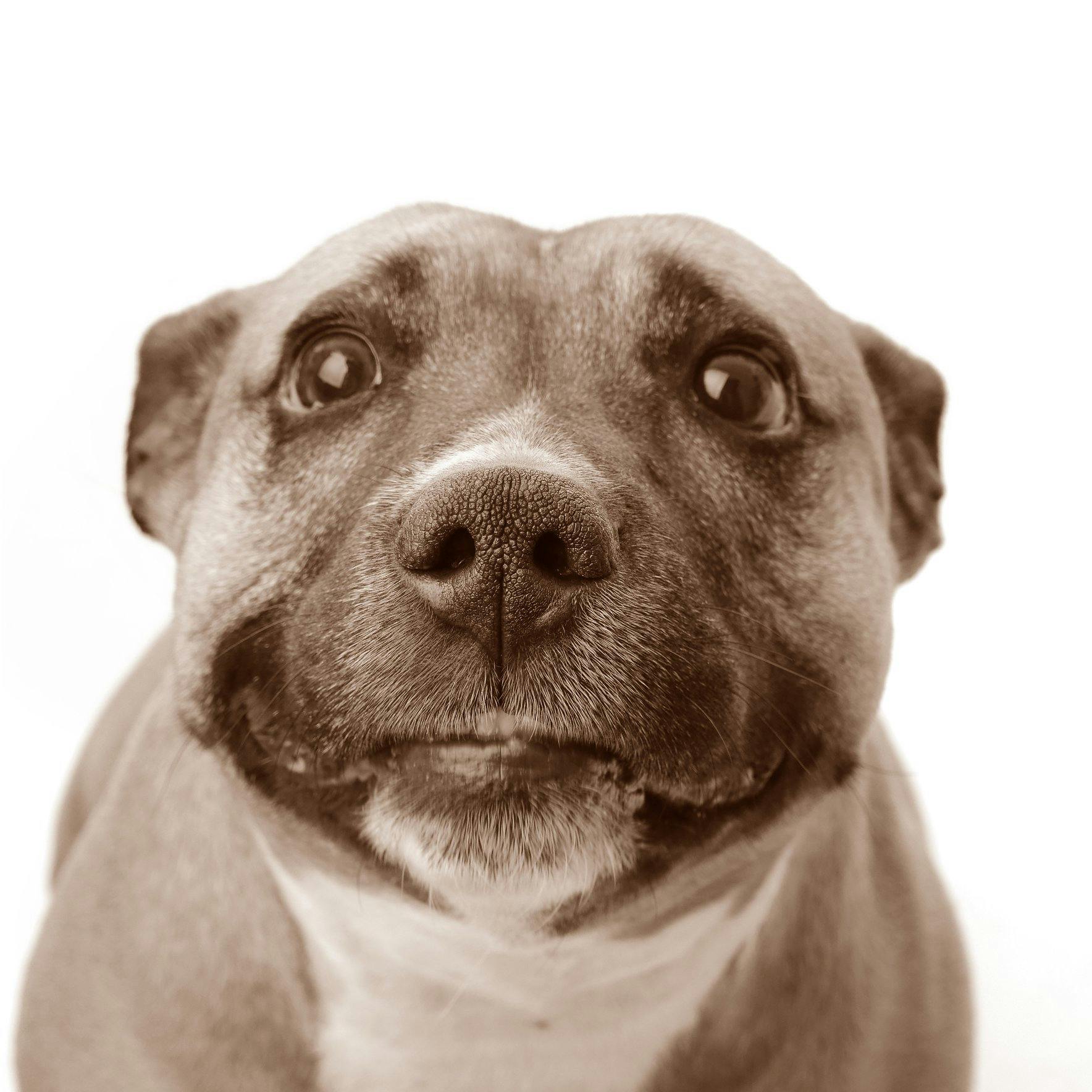 user avatar image for Ozzyols 