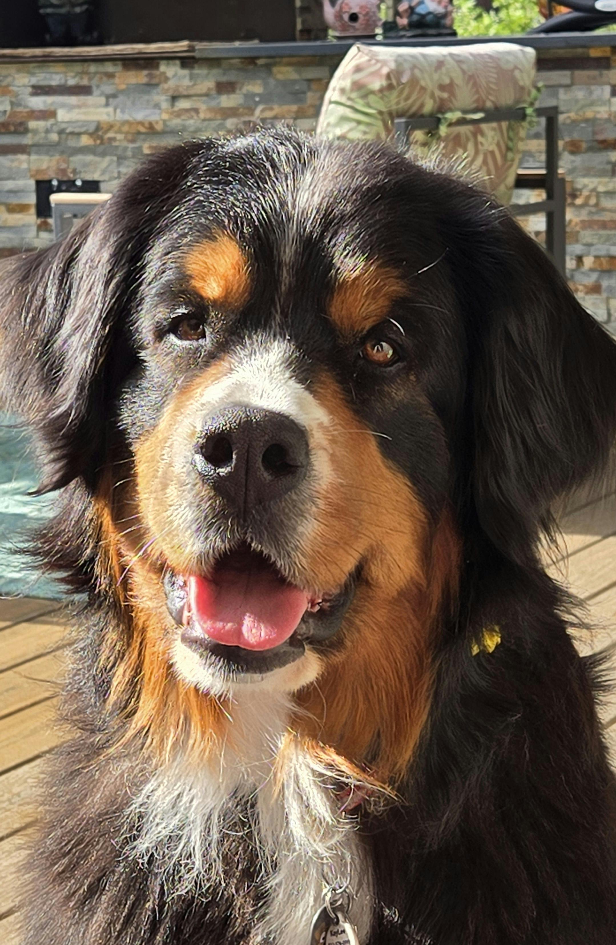 user avatar image for CherryLynn666