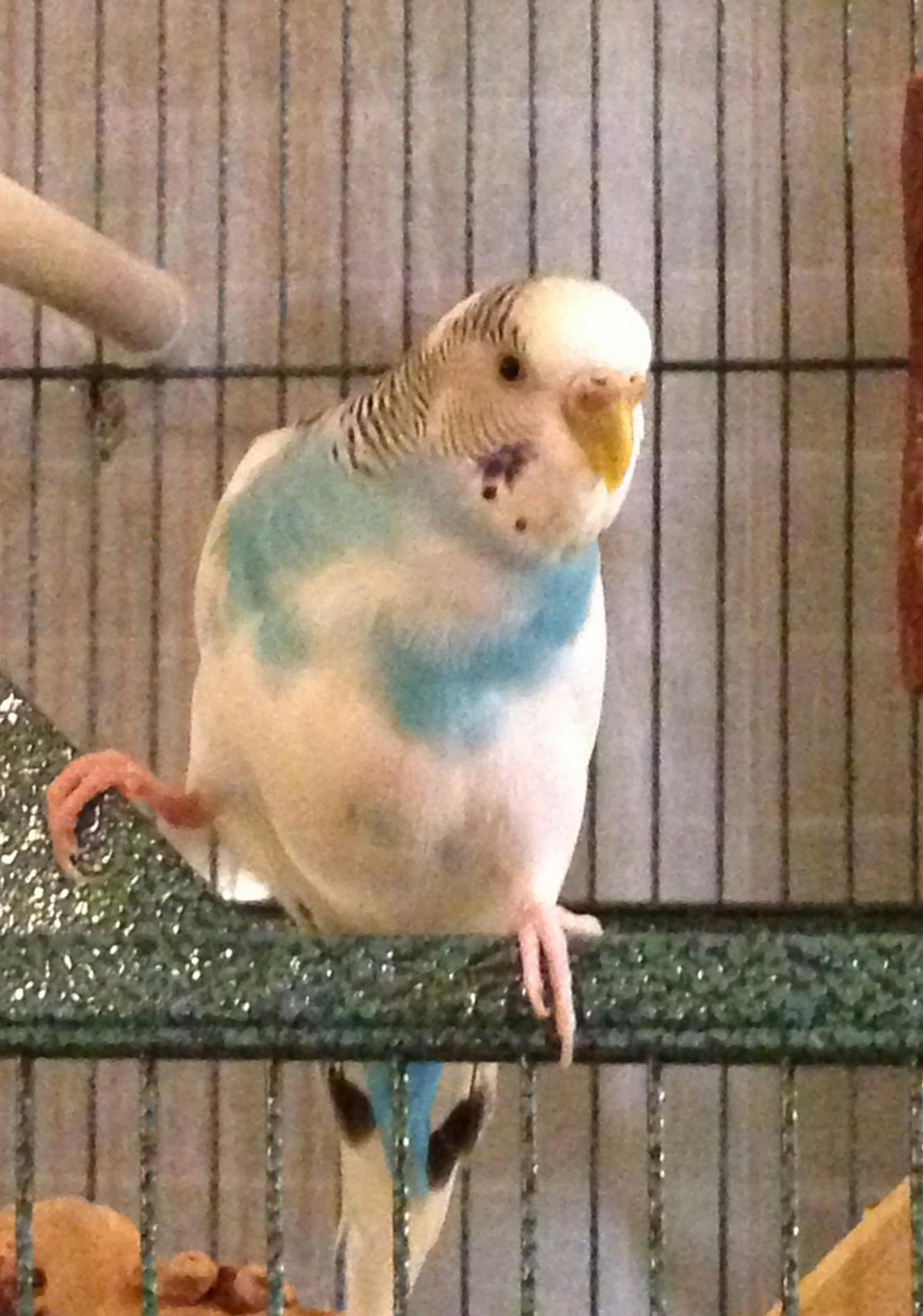 user avatar image for J O'Malley