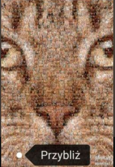 user avatar image for Kacper 