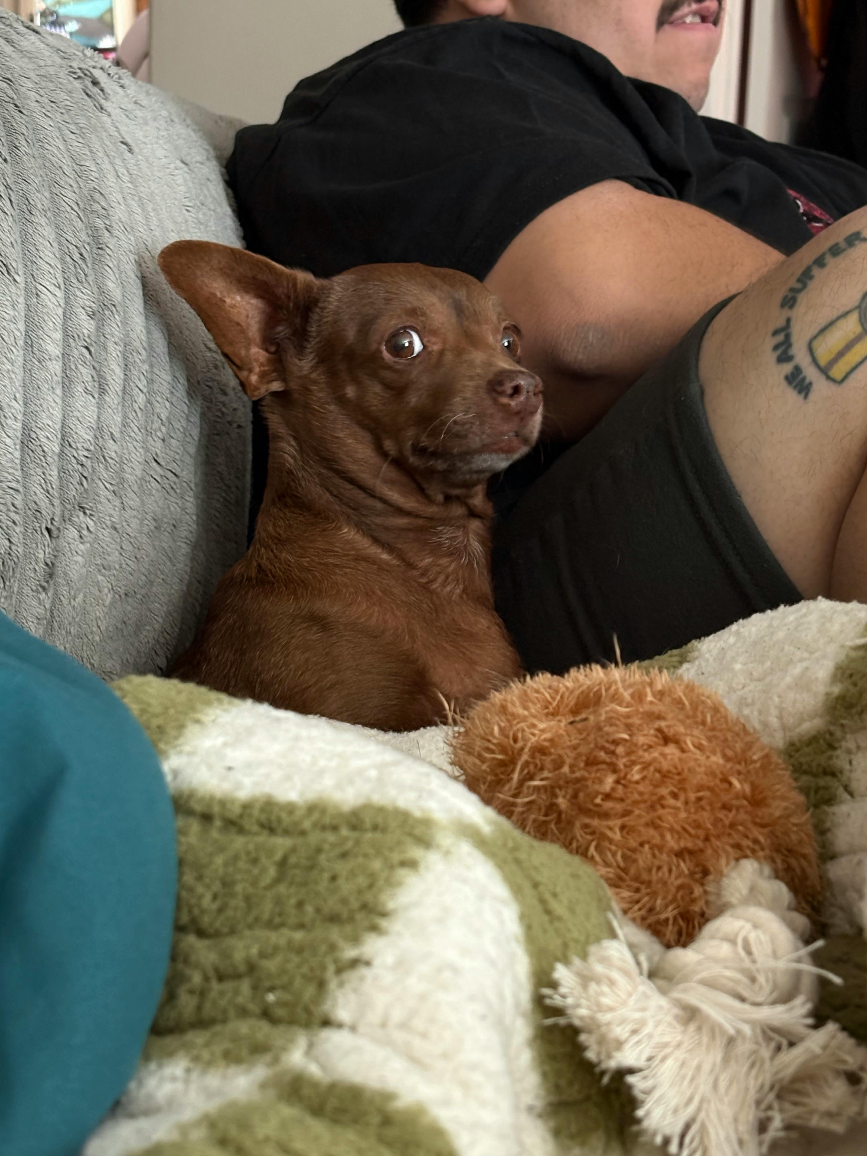 user avatar image for Kelly Darby 