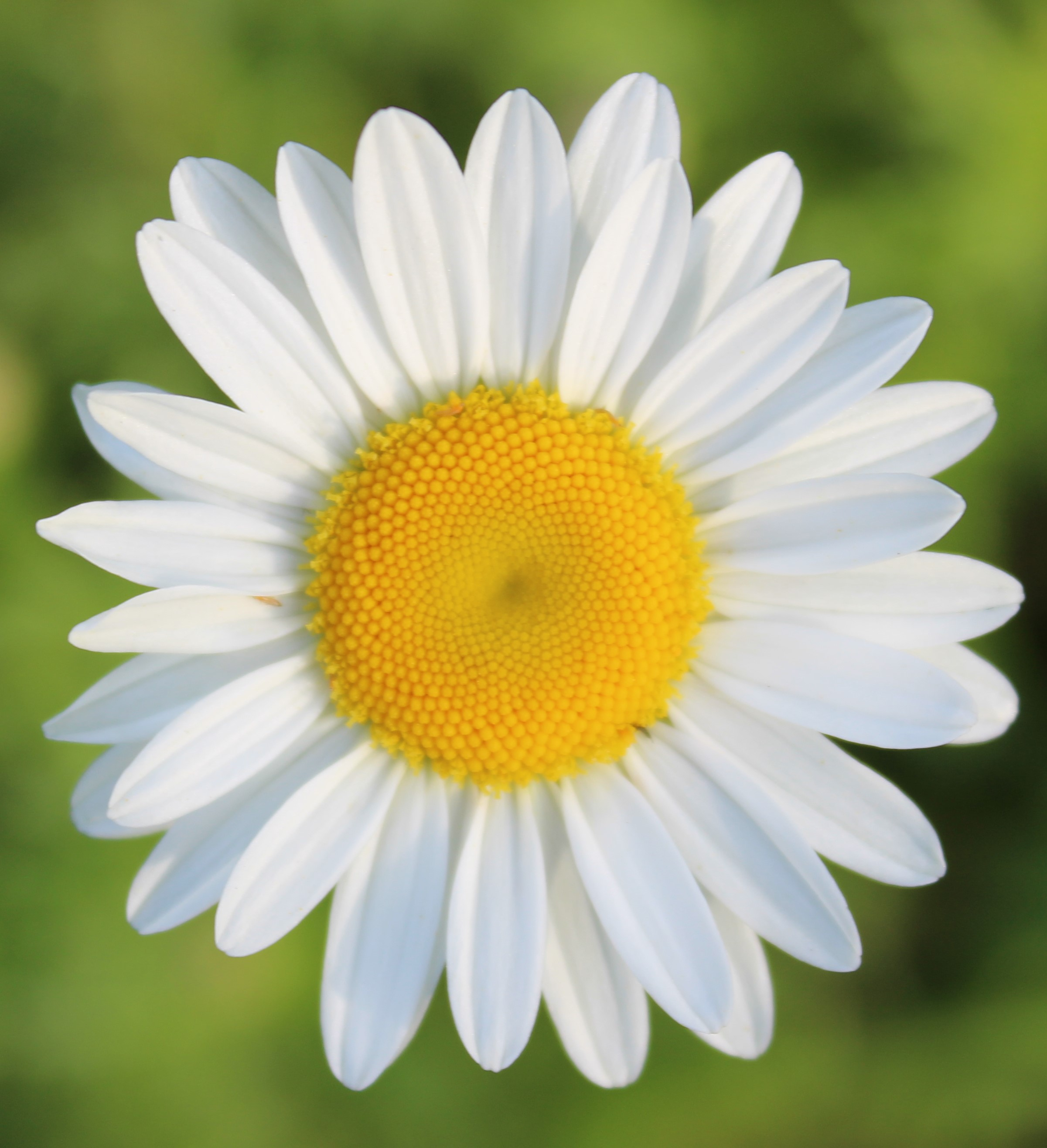 user avatar image for Barbara Young