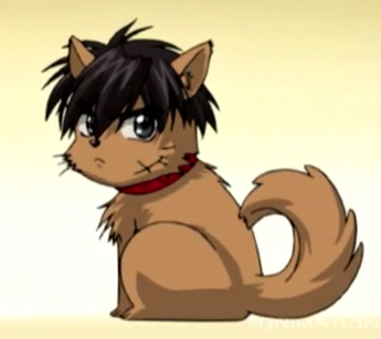 user avatar image for Sgtsagara