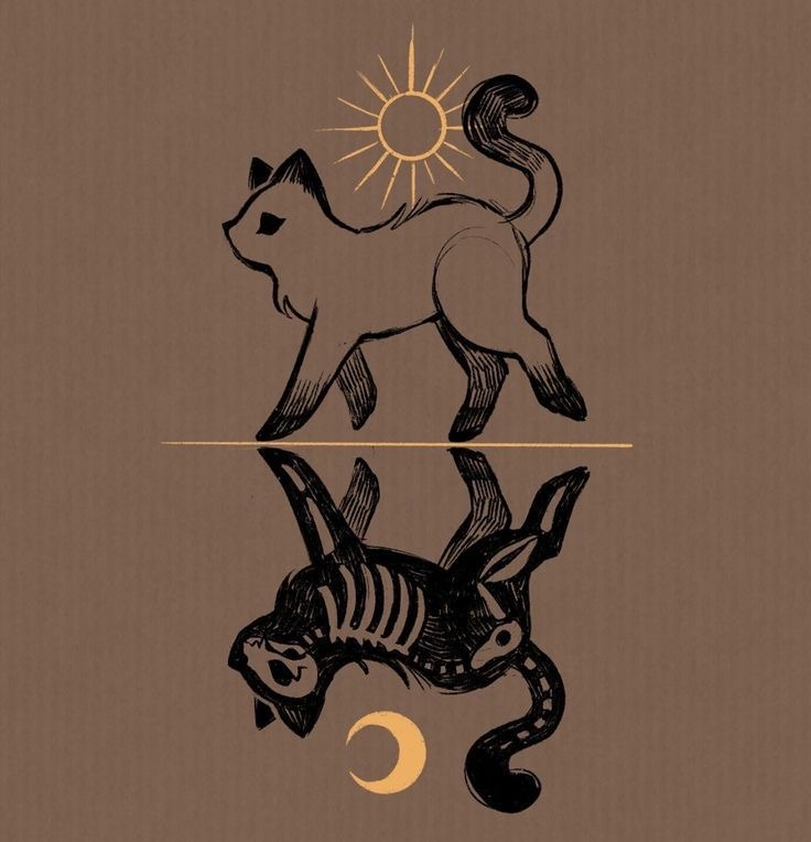 user avatar image for Eclipse