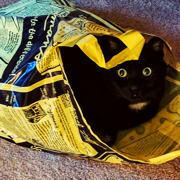 user avatar image for Christophine