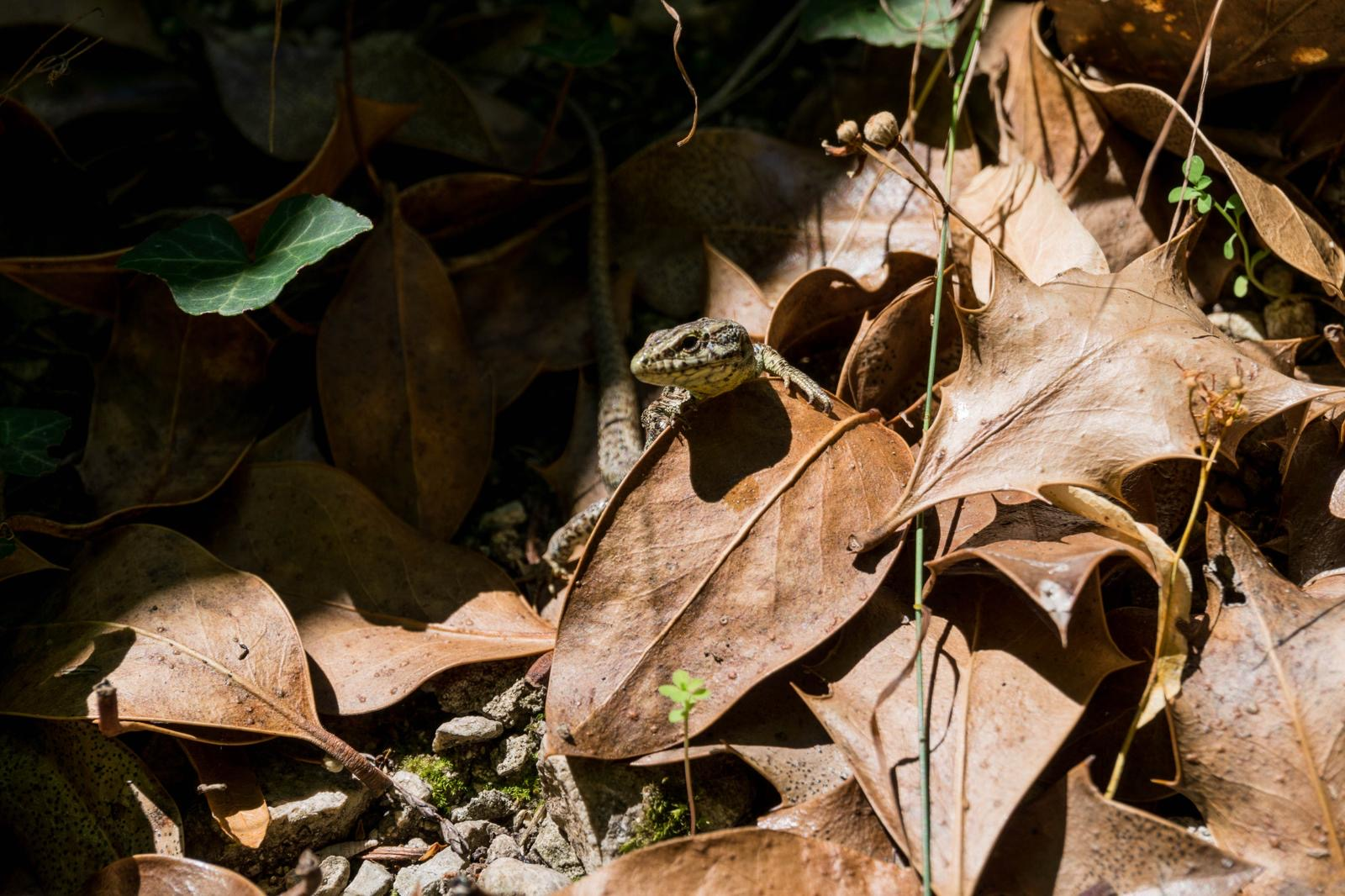 user avatar image for Matthew Griesser