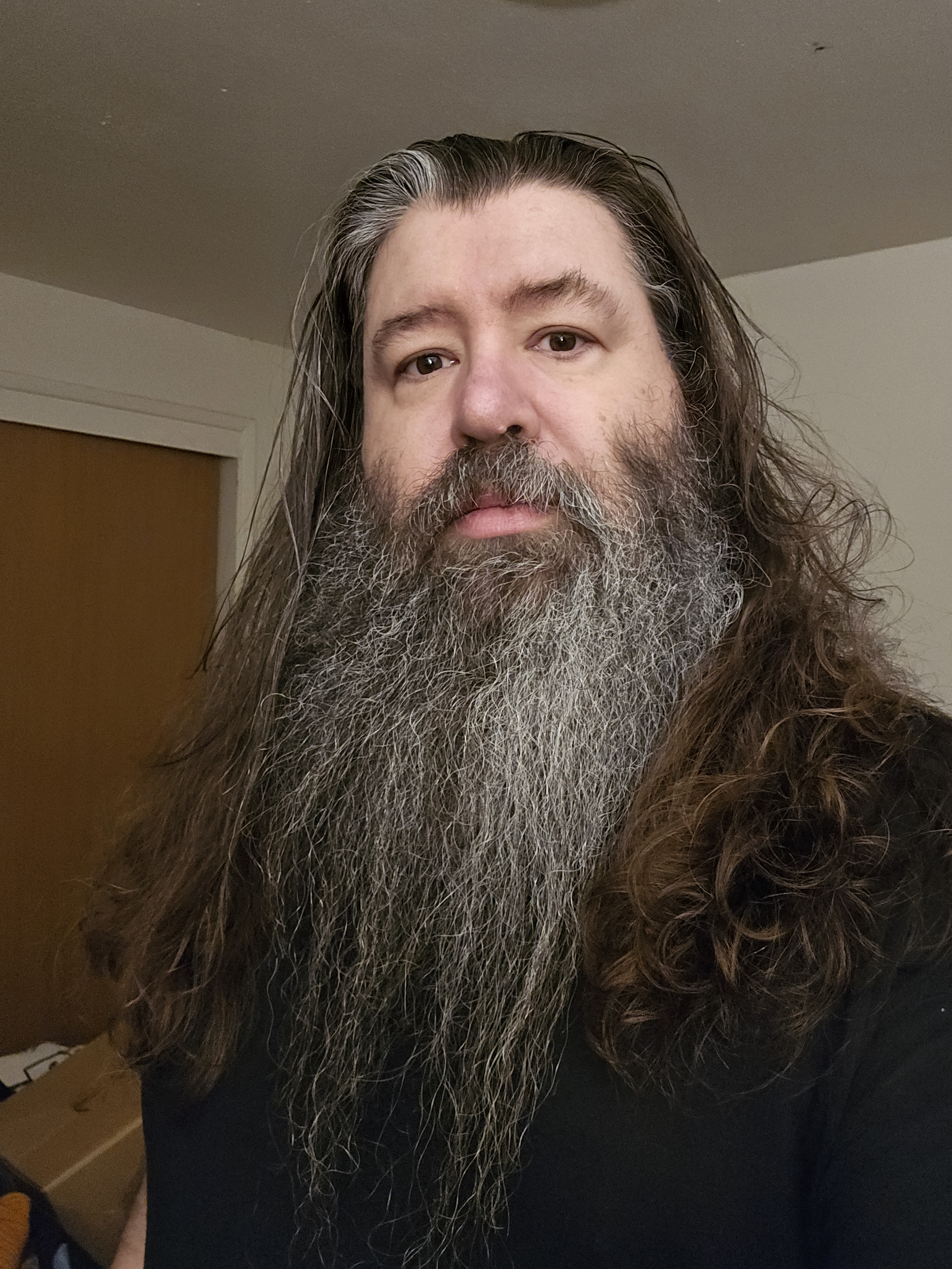 user avatar image for Phil Rezanow 