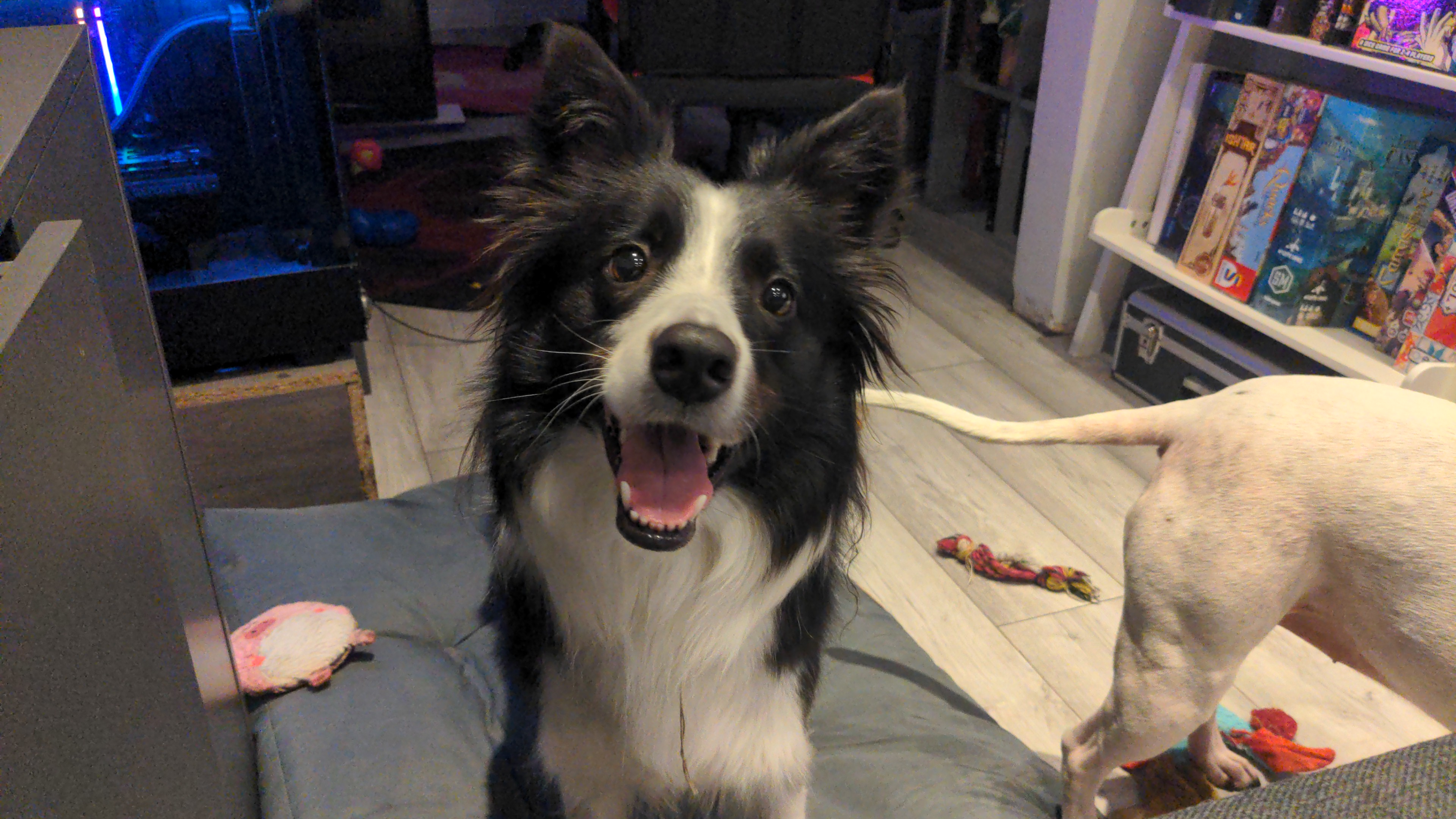 user avatar image for Ruthie