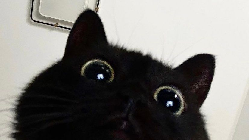 user avatar image for Gen