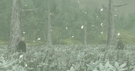 user avatar image for Duncan Kennedy