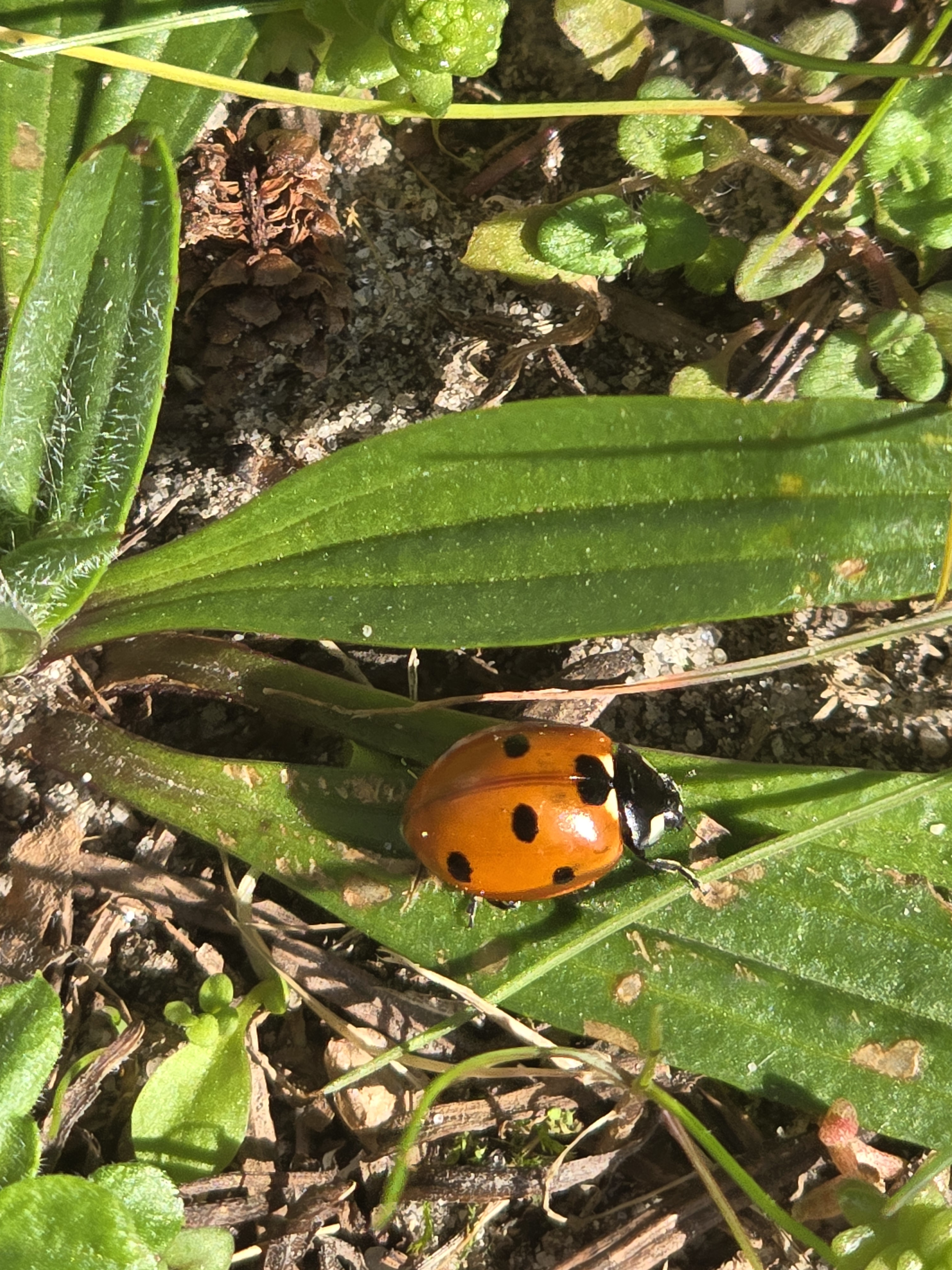 user avatar image for Erik van Dokkum