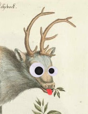 user avatar image for Boo Miles