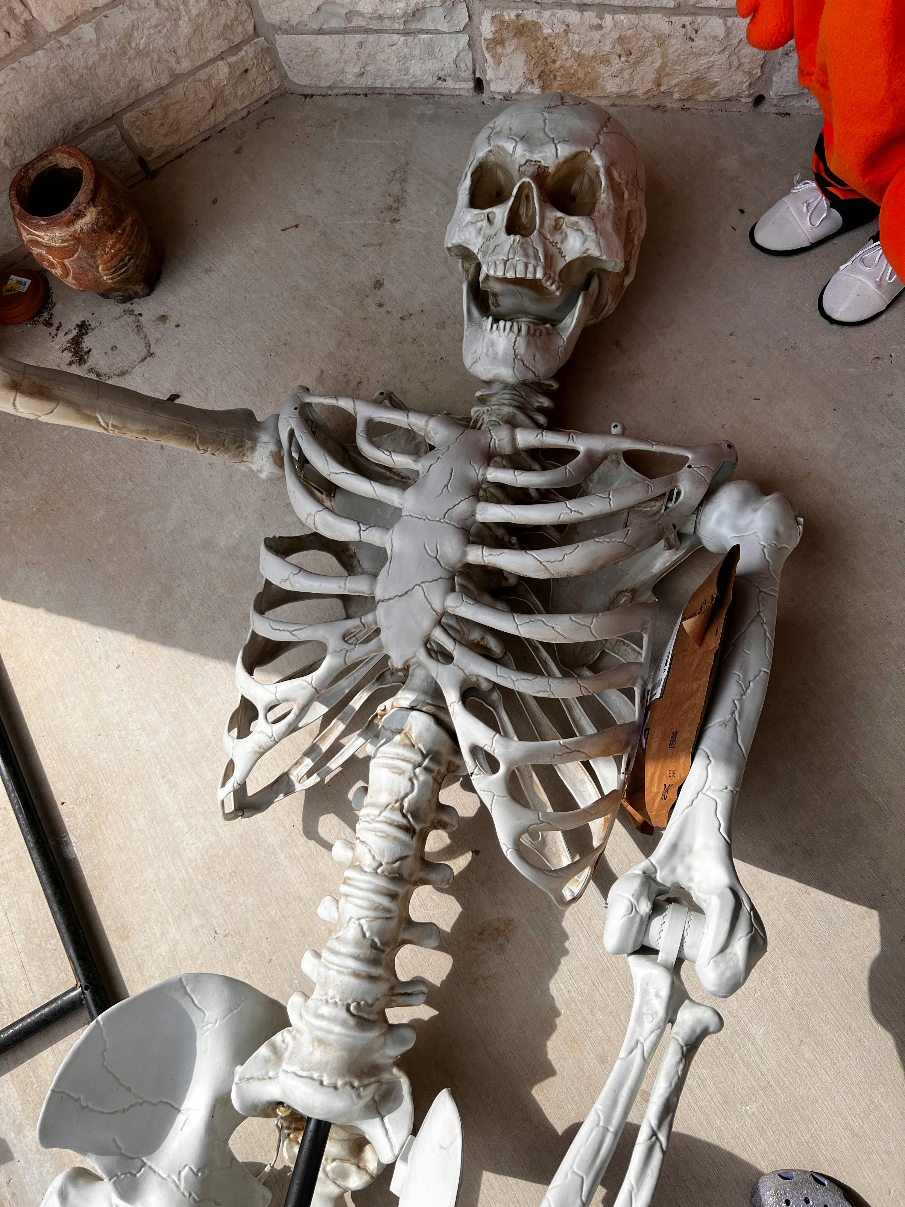 user avatar image for laready