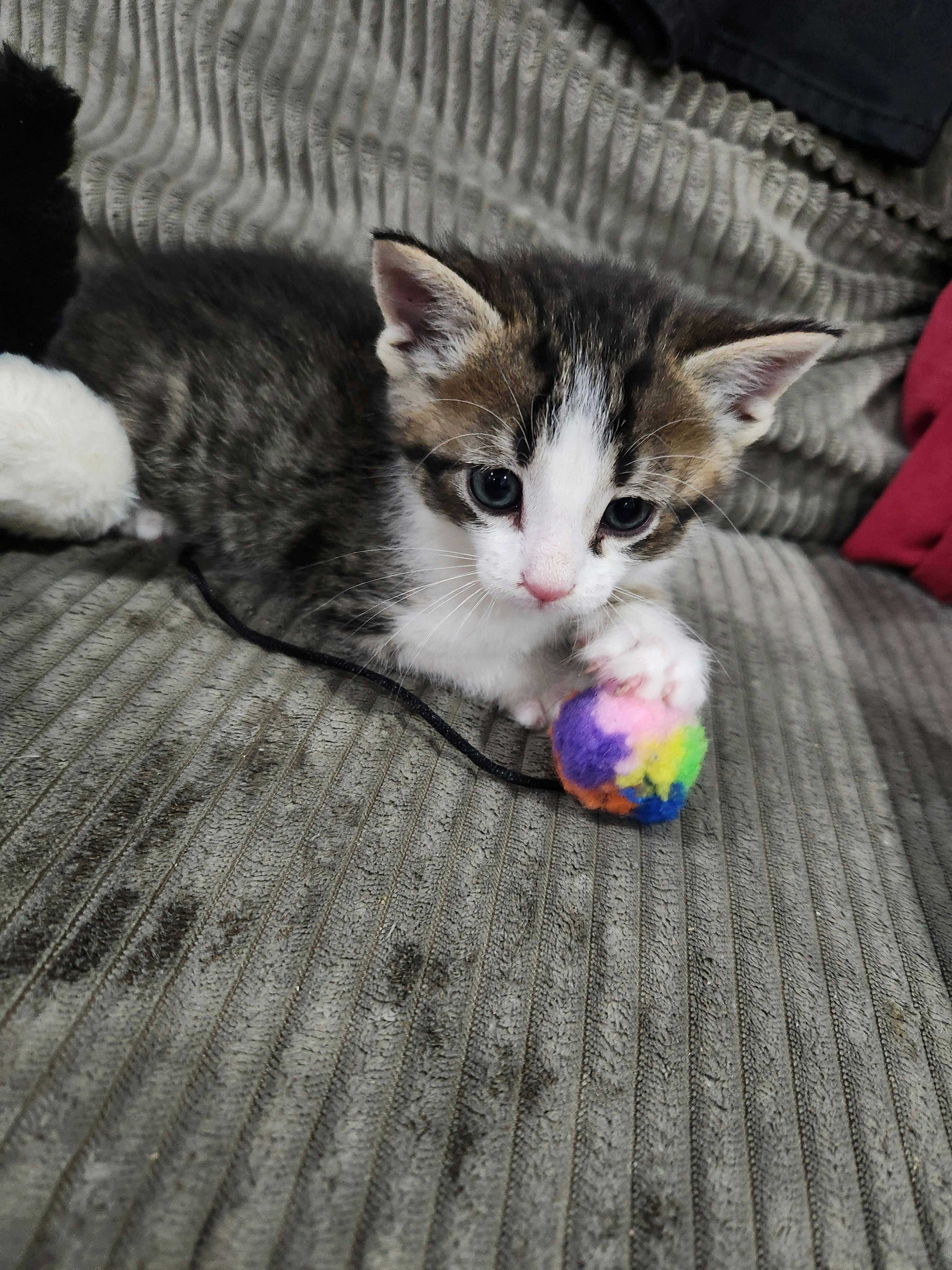 user avatar image for Alisha 