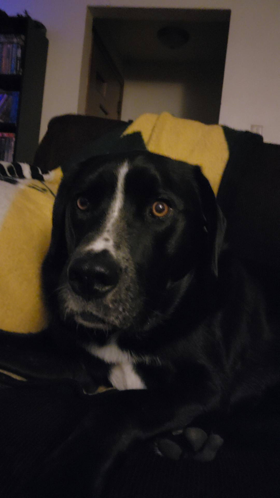 user avatar image for Tracy Winge 