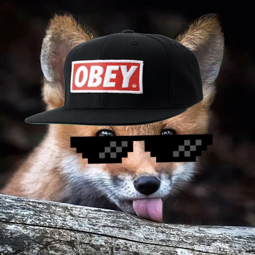 user avatar image for Skrunkly Fops