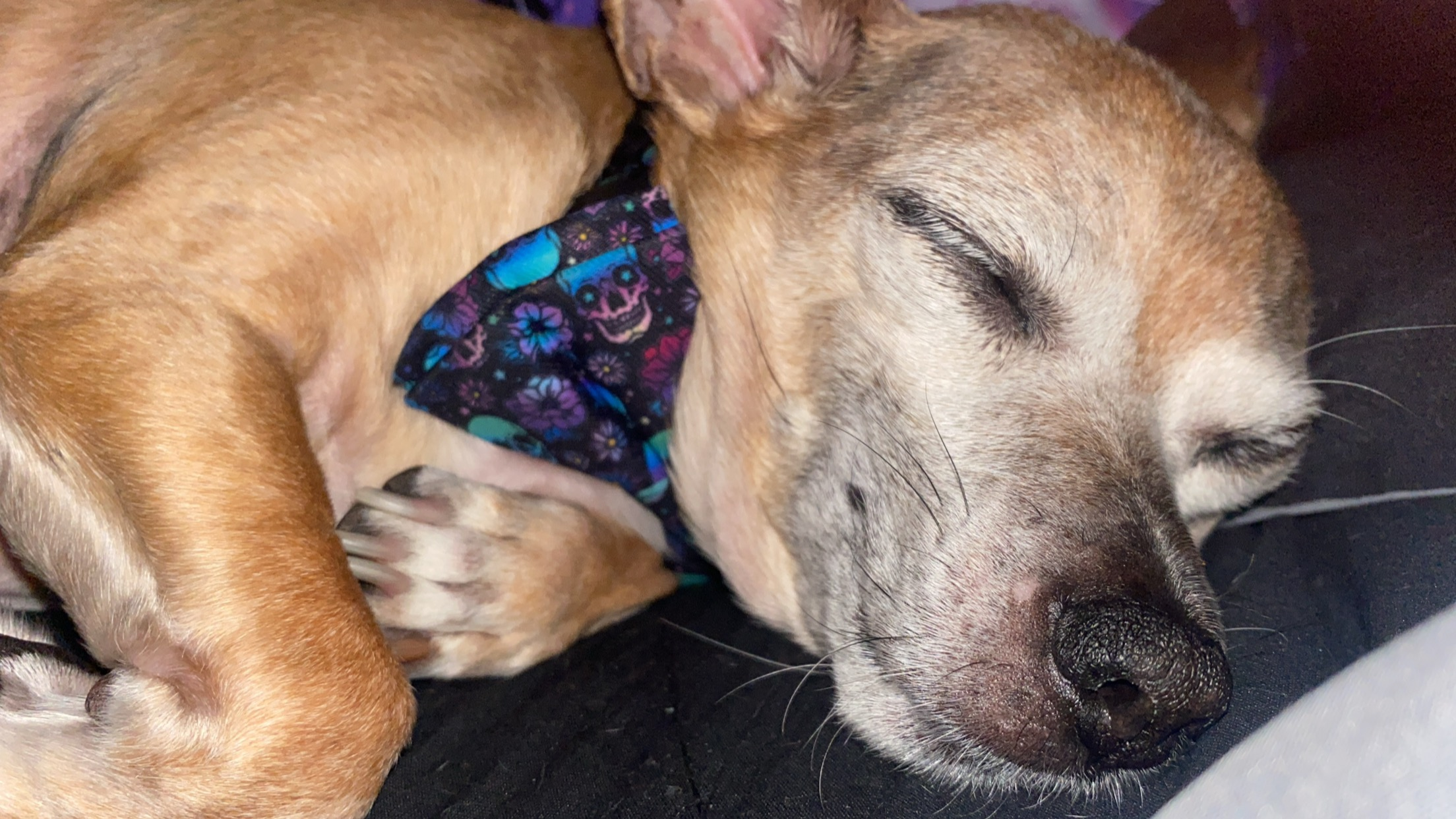 user avatar image for Becca DeMartino