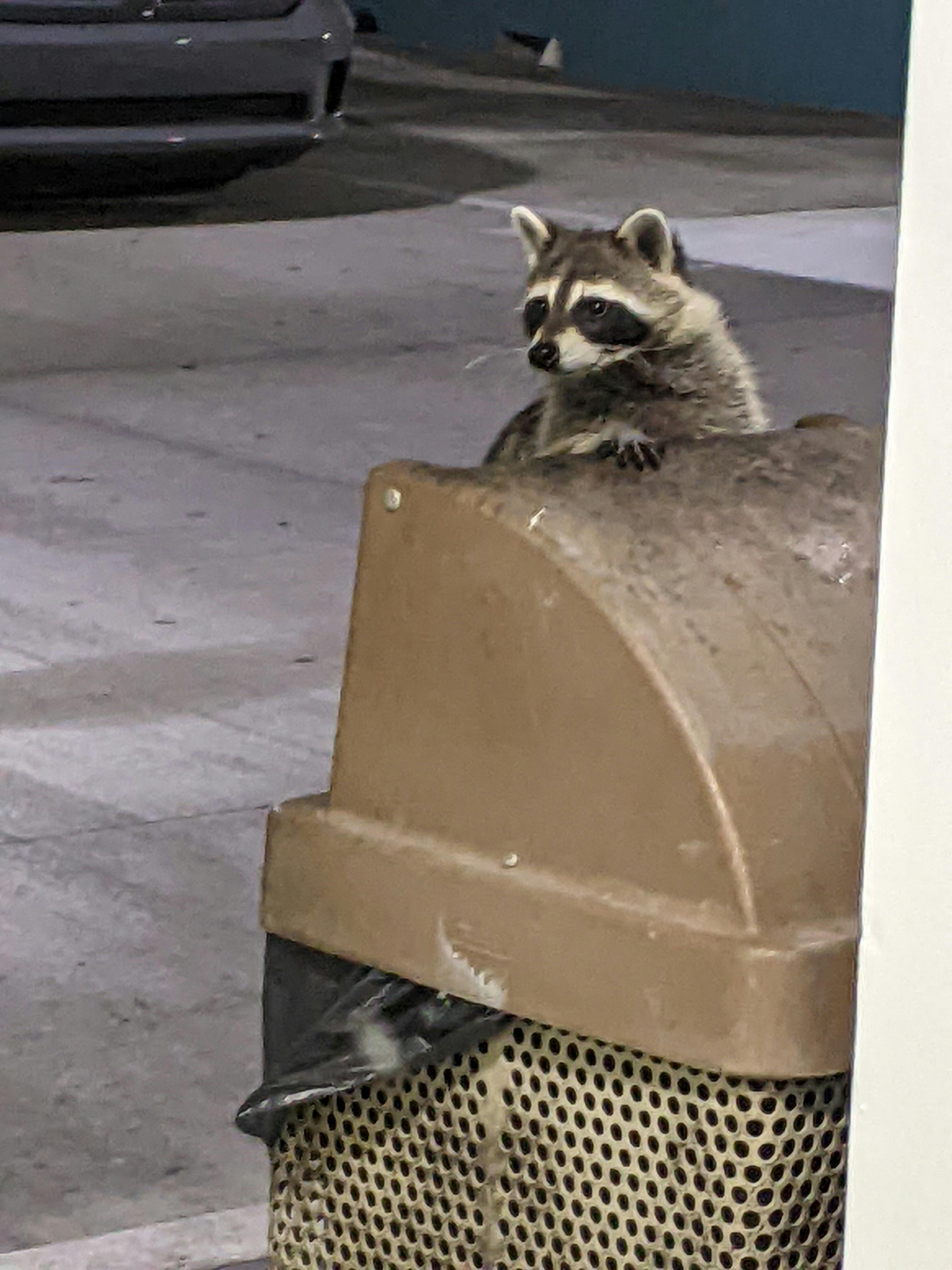 user avatar image for Leah E.