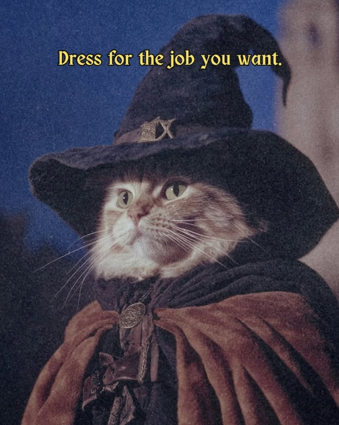 user avatar image for Chillbean