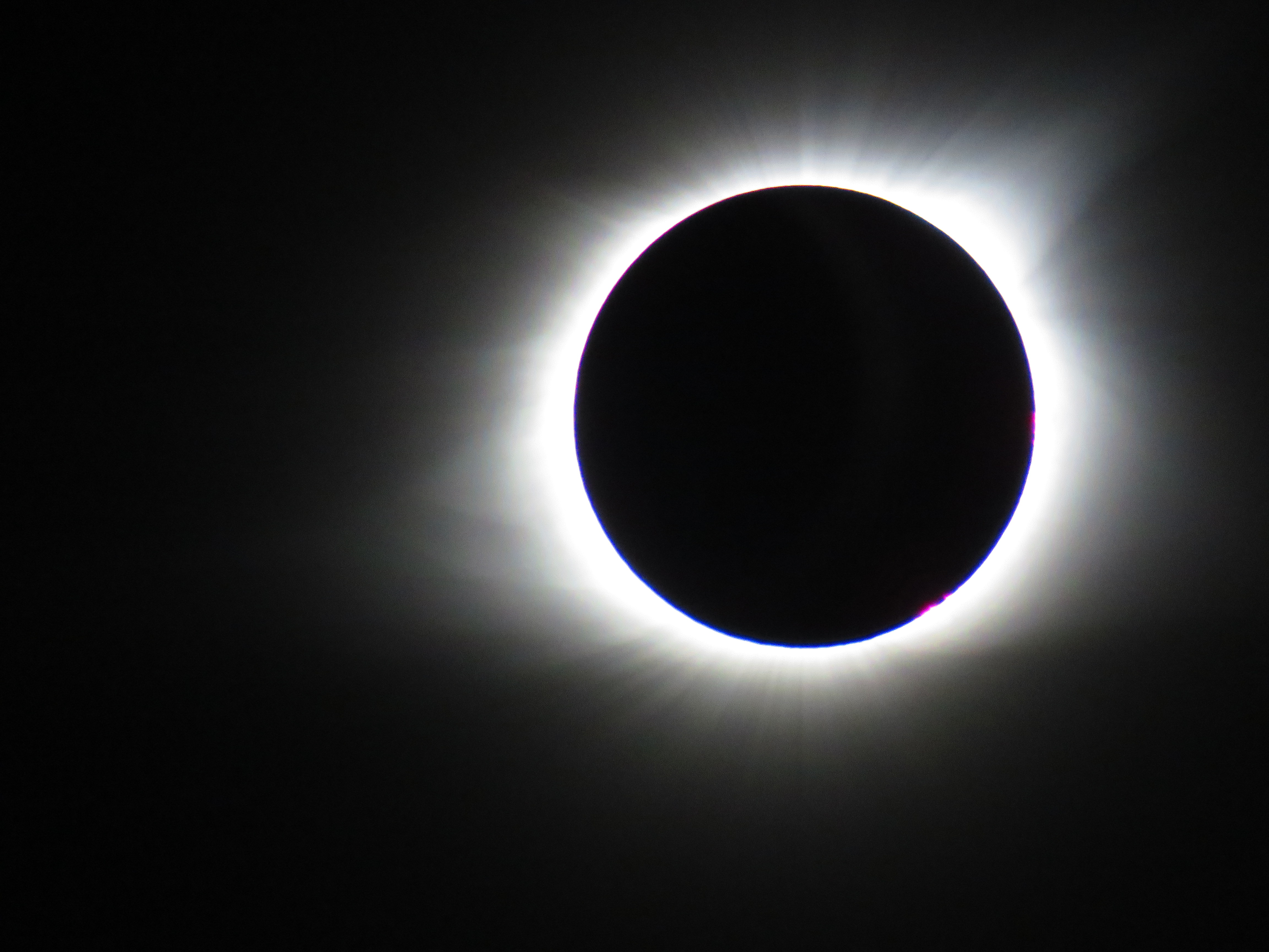 user avatar image for Rrrose